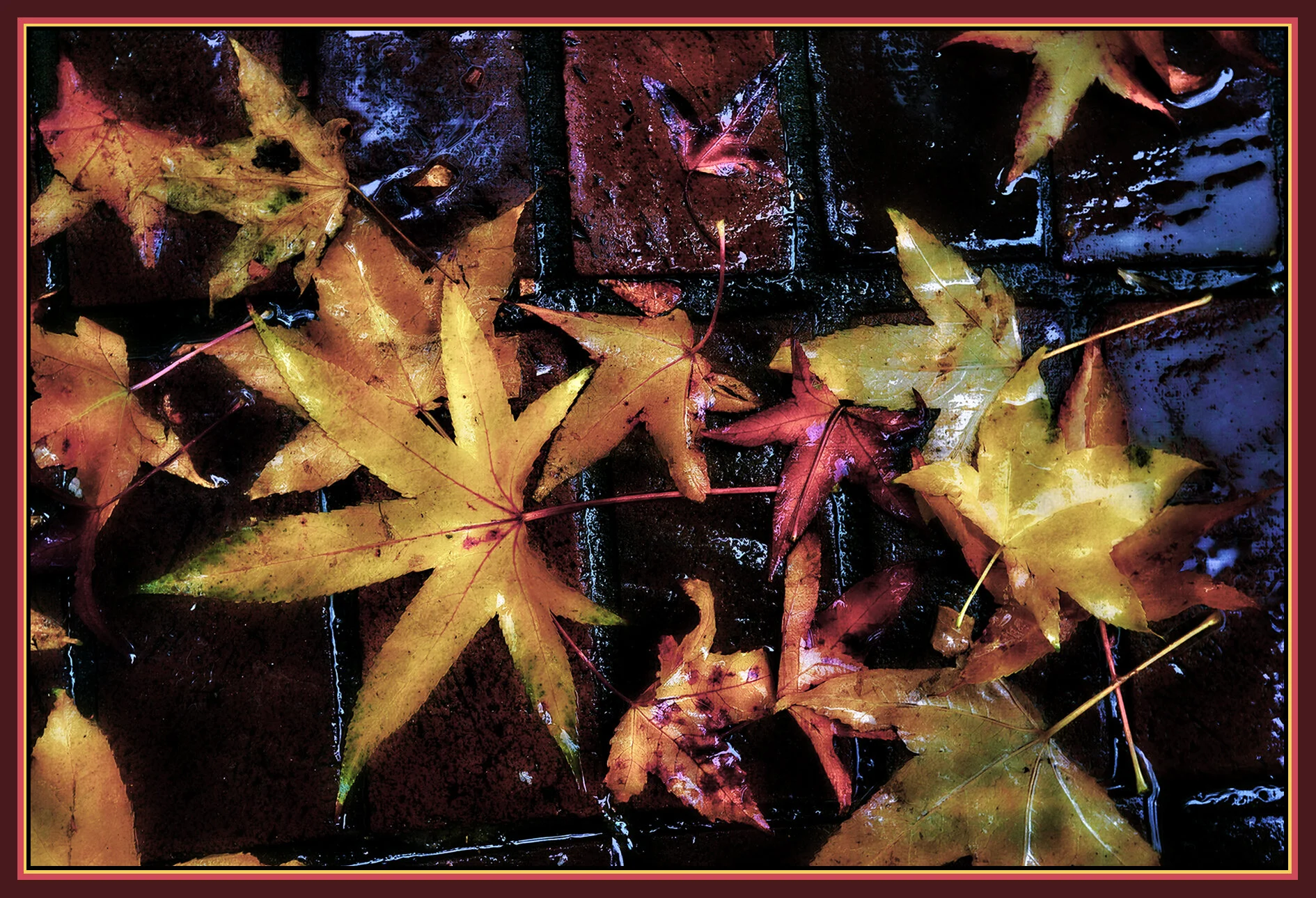 Fall Leaves_Nov 9_2019_HDR_F2488_peSat&Glo&VividA_1_4x6s.jpg