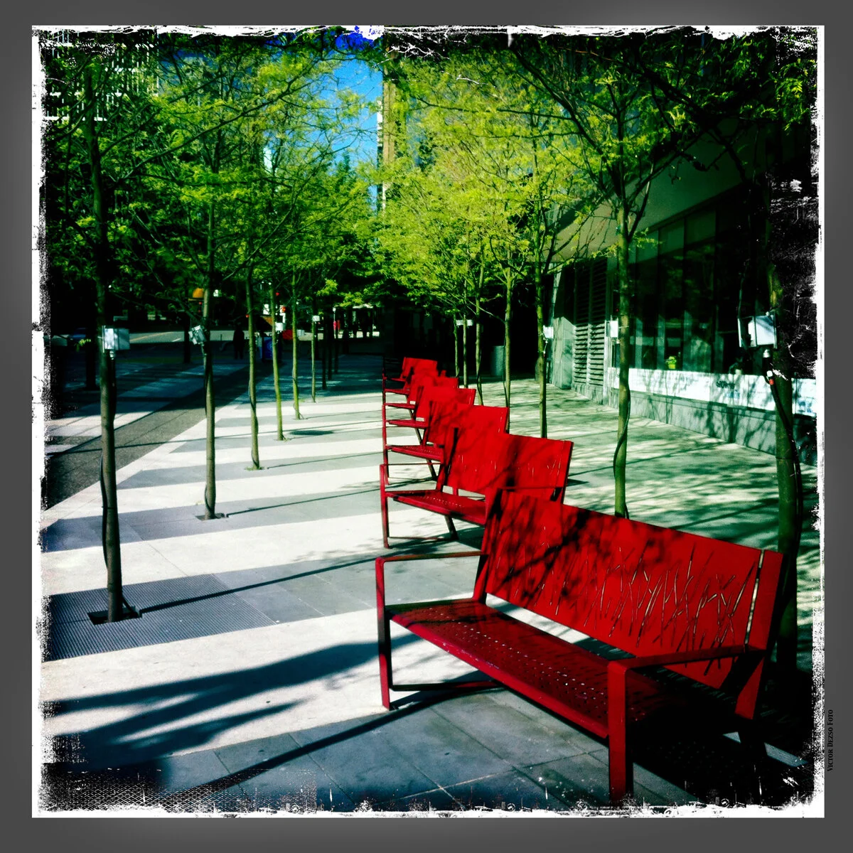 Red Benches_May 27_2012_1855_4x4s.jpg