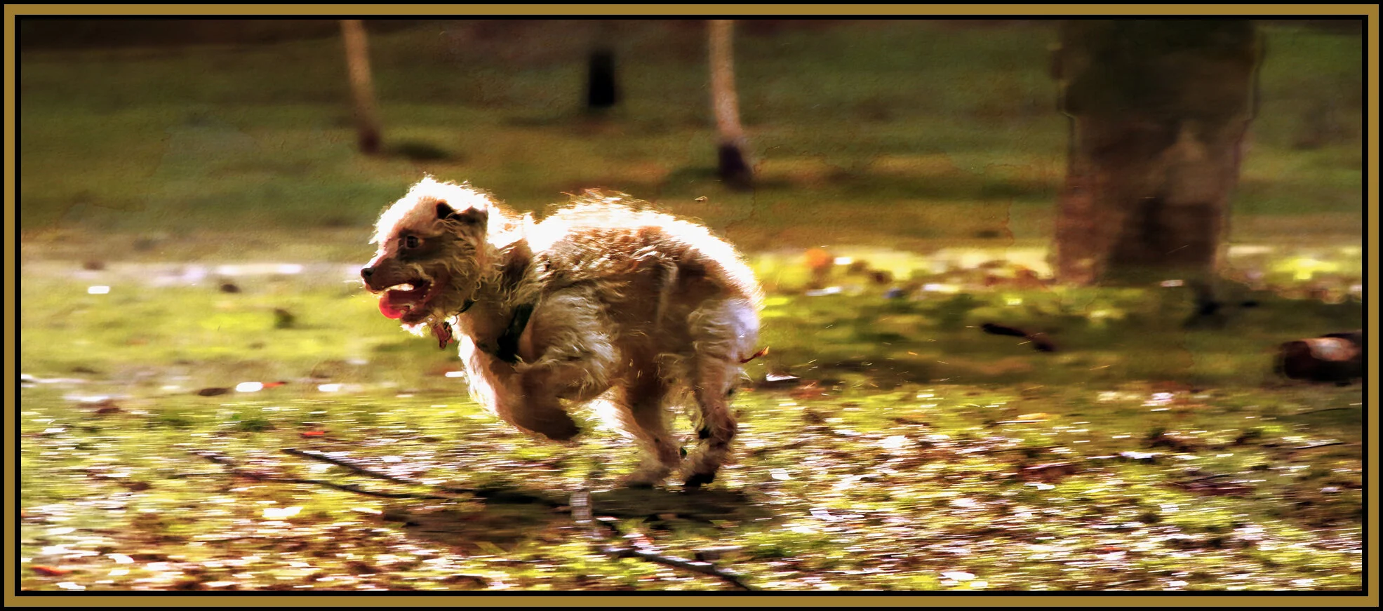 Frances_New West_Jan 22_2018_C3251_peBsthdr0001_4x7s.jpg