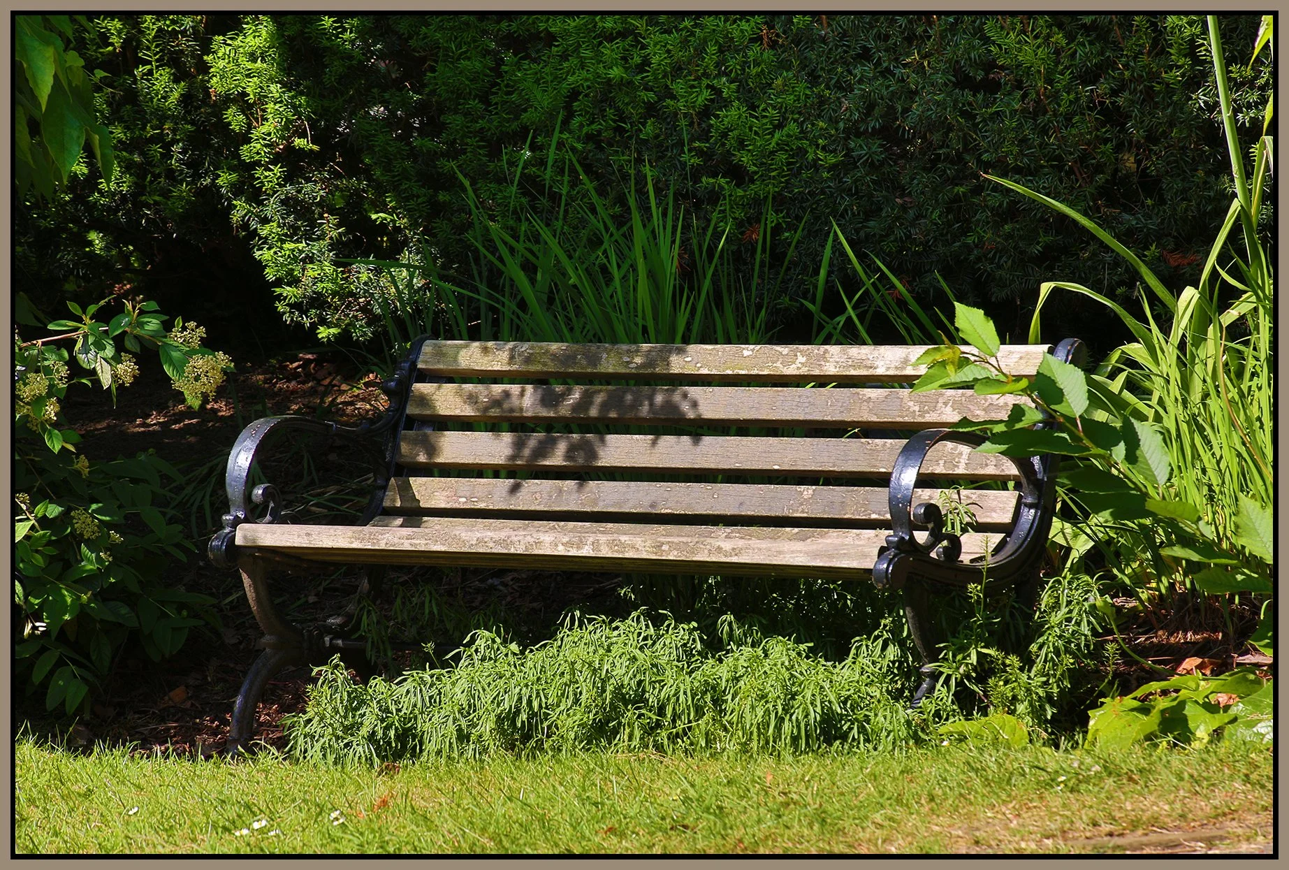 Bench in Vancouver_Jun 12_2019_HDR_A6225_4x6s.jpg