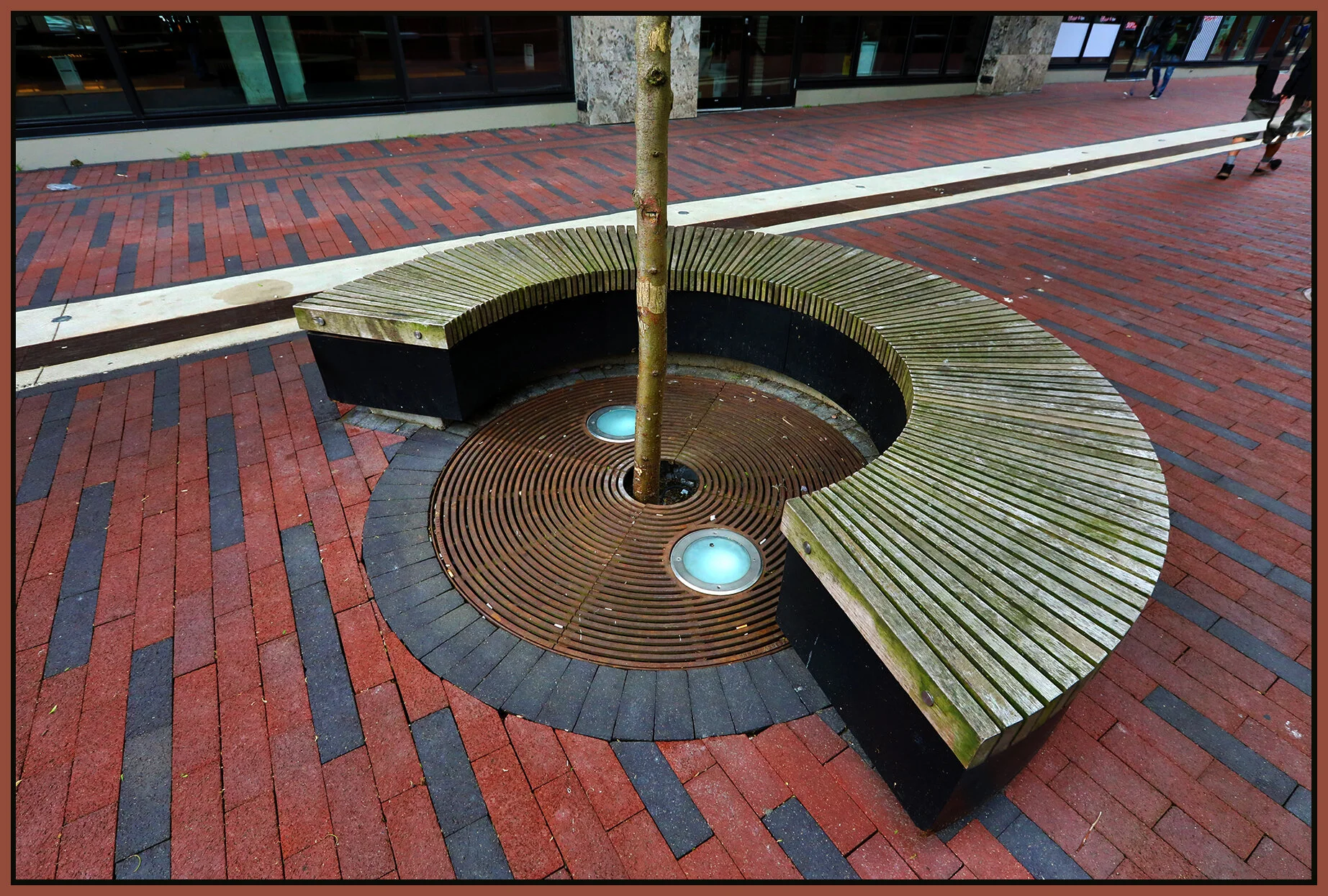 Bench at Woodwards_Jun 11_2018_HDR_C6088_4x6s.jpg