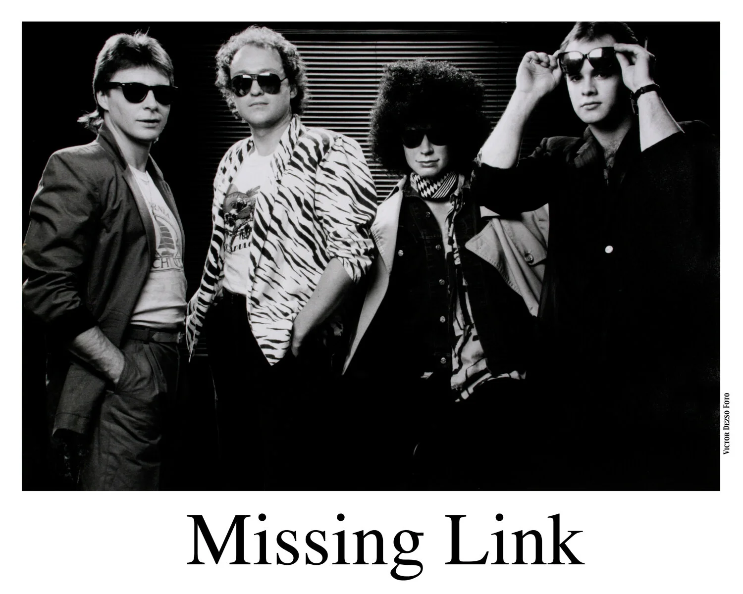 Missing Link_4280_4x5.jpg