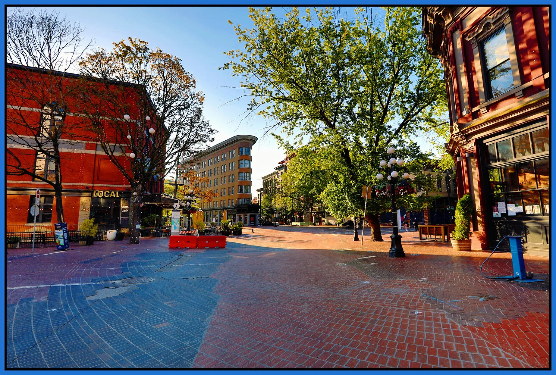 Gastown Maple Tree Sq LkgE_Jun 20_2024_HDR_4J1352_1_peHyperstrip_Pop_4x6s.jpg
