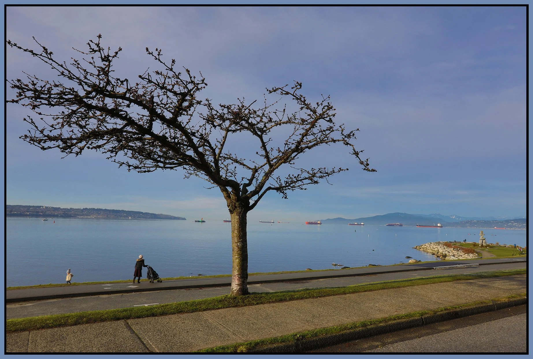 English Bay Tree_Dec 24_2020_HDR_4G0632_4x6s.jpg