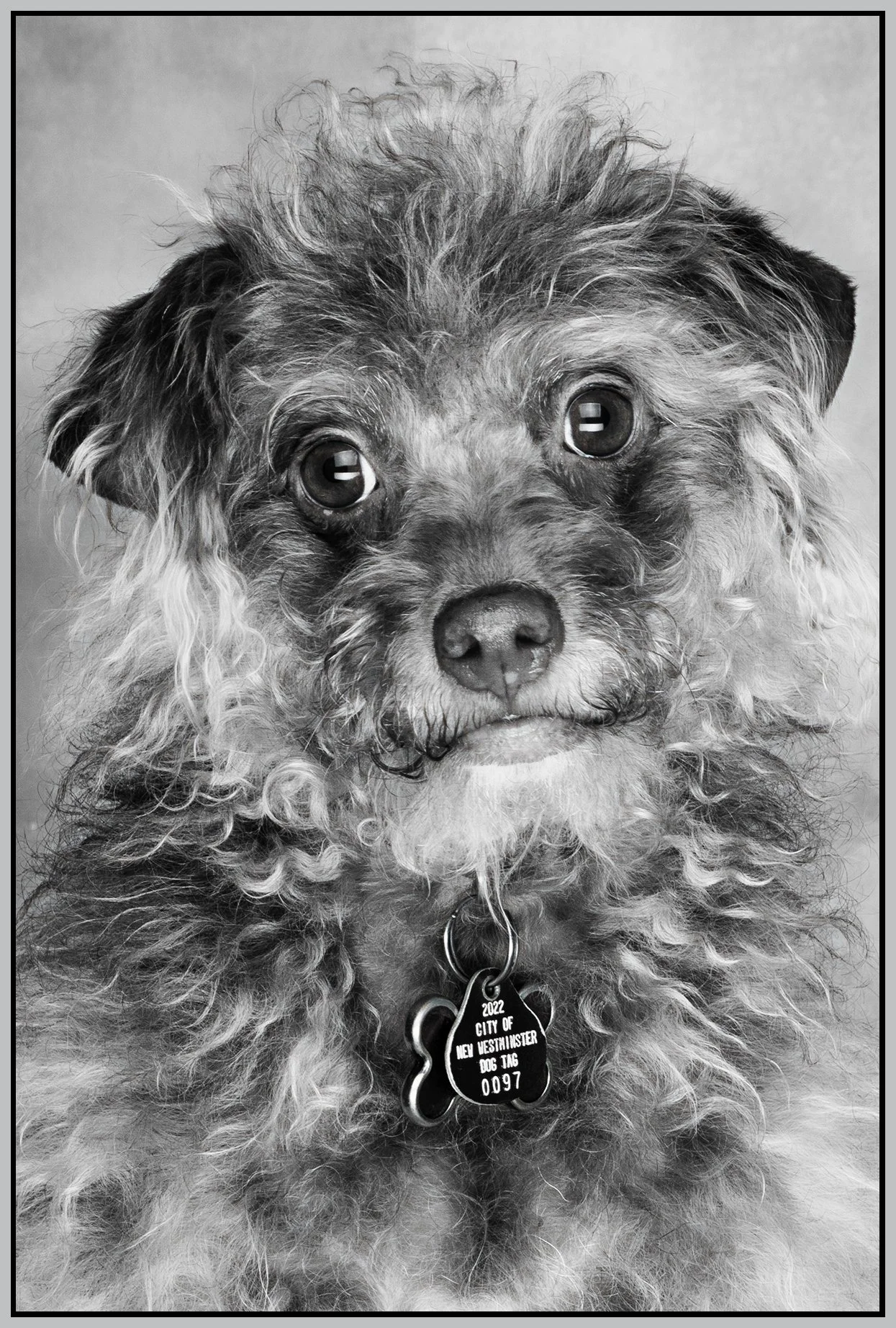 Frances Stewart_Mar 16_2022_CR2_5B0547_peBWHypr_4x6s.jpg