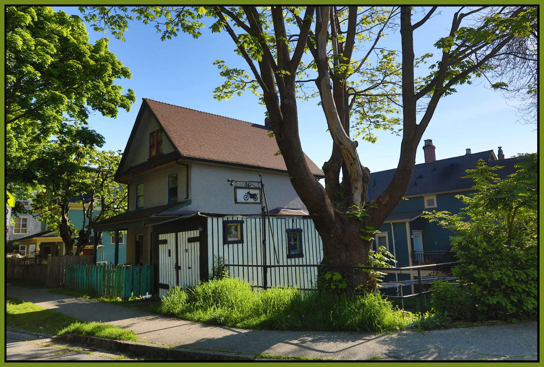 580 Heatley Tree_May 20_2017_HDR_A6372_4x6s.jpg