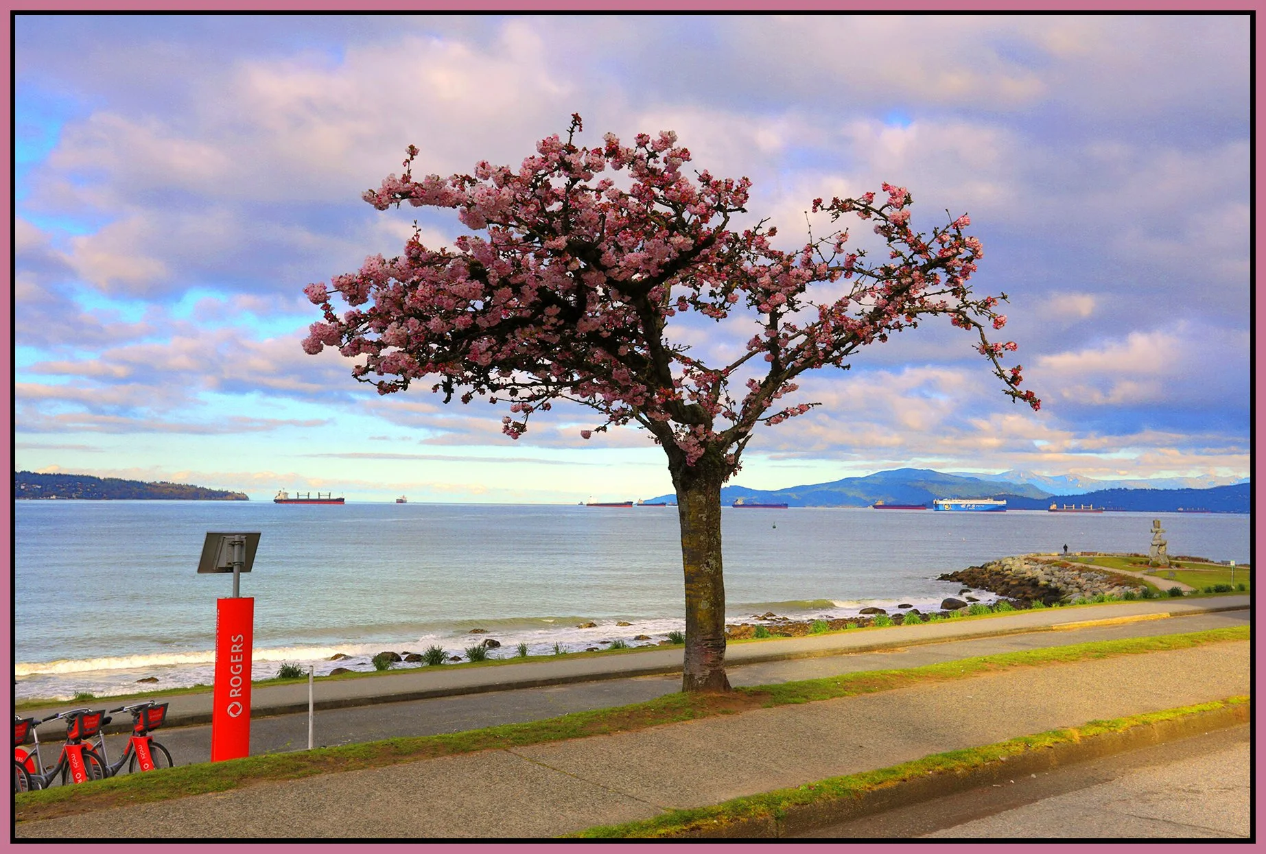 Beach Ave Tree_Mar 30_2026_HDR_4L0792_pe_Water_Hyperstrip_4x6s.jpg