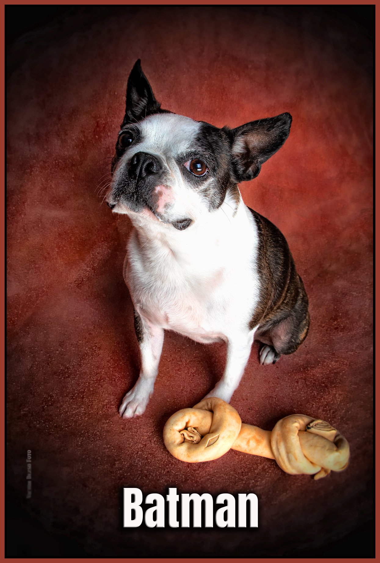 Batman_Jun 13_2020_CR2_4F5568_peStrngVig_SelinaDrnd_1_4x6s.jpg