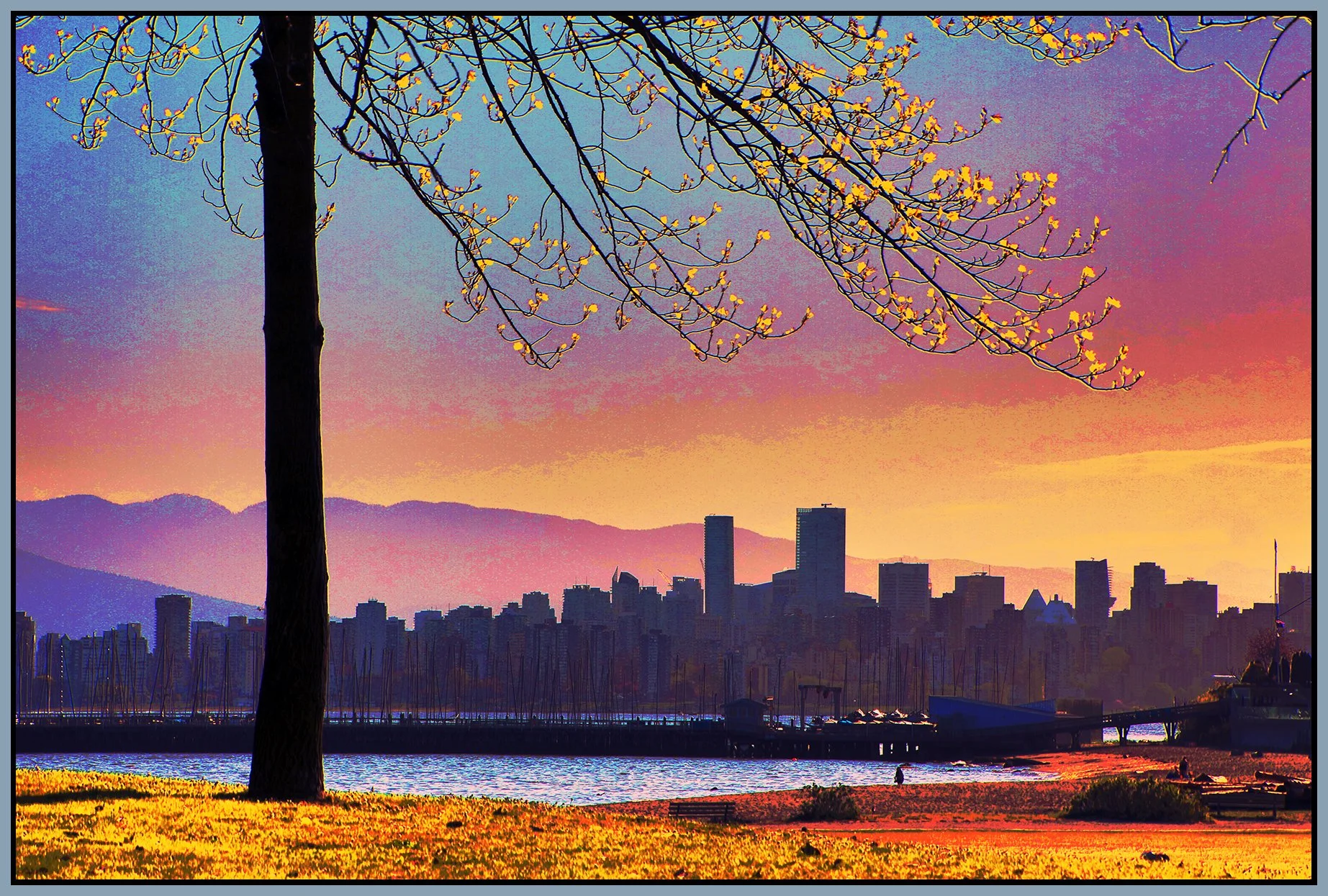 Jericho Beach Tree_Apr 22_2021_HDR_4G7724_peVibrClrs_Sunset_4x6s.jpg