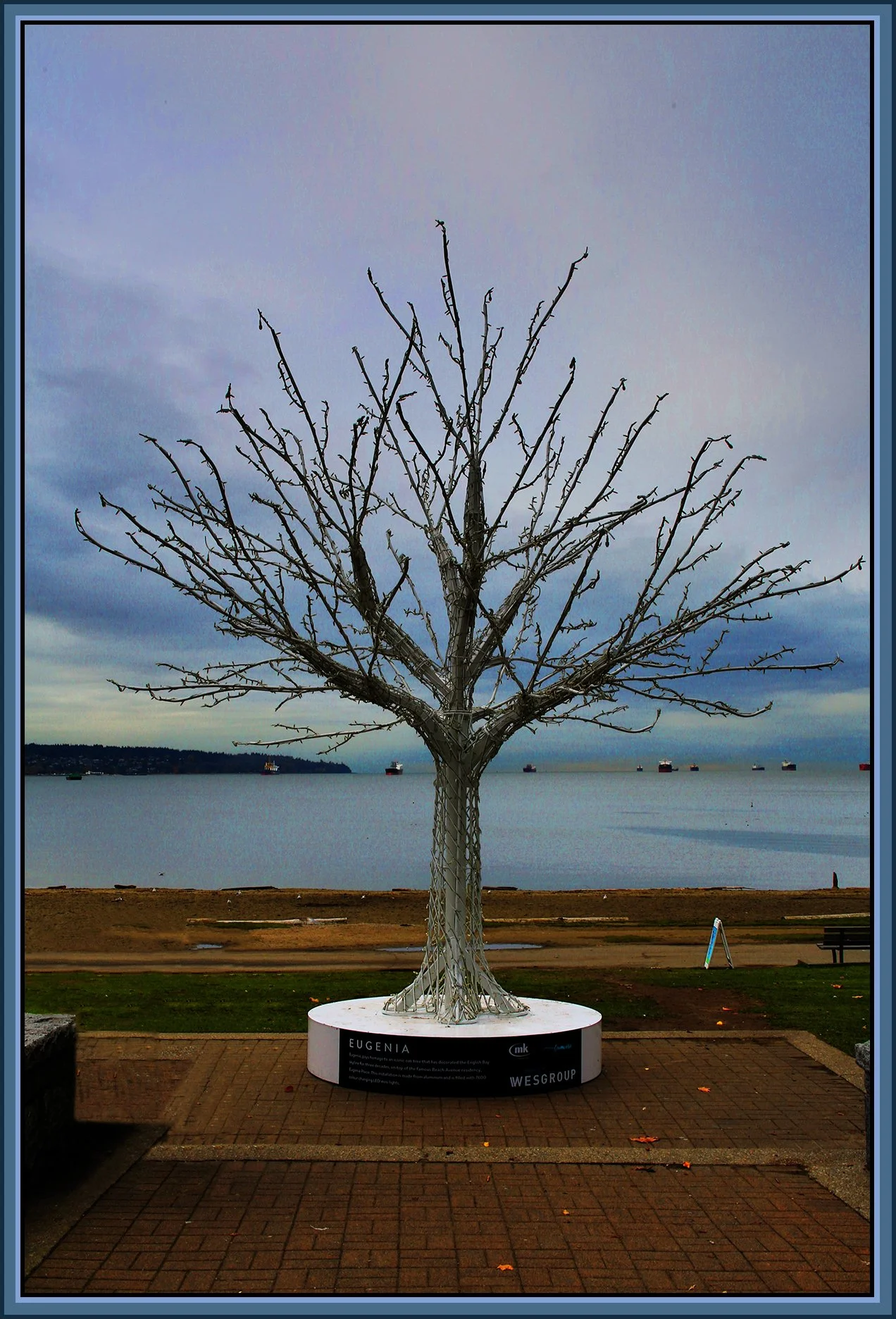 English Bay Tree_Nov 12_2020_HDR_3B5373_peContrst_4x6s.jpg