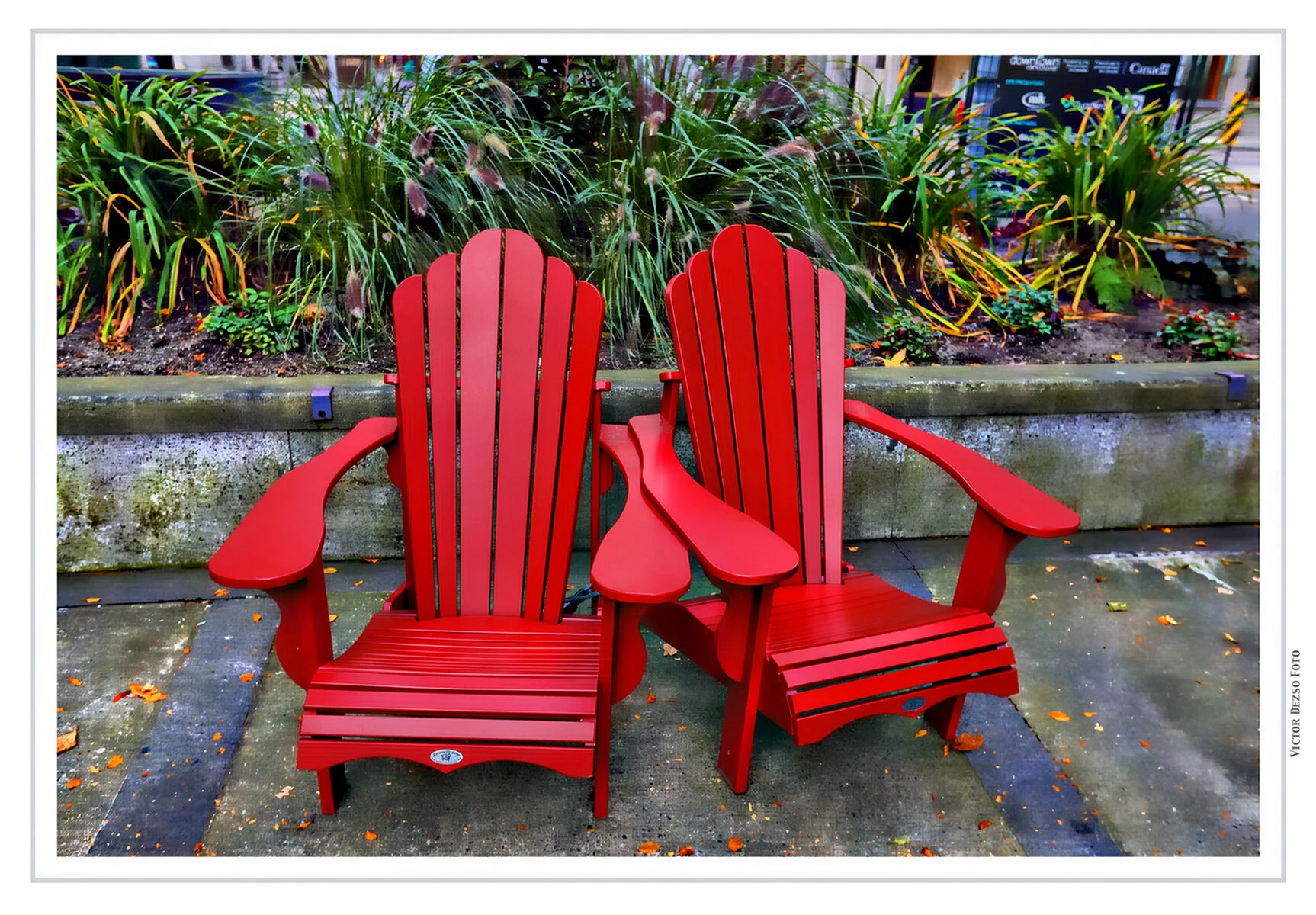 Seating in Lot 19_Nov 2_2019_HDR_F1207_peHdr2013_1_4x6s.jpg