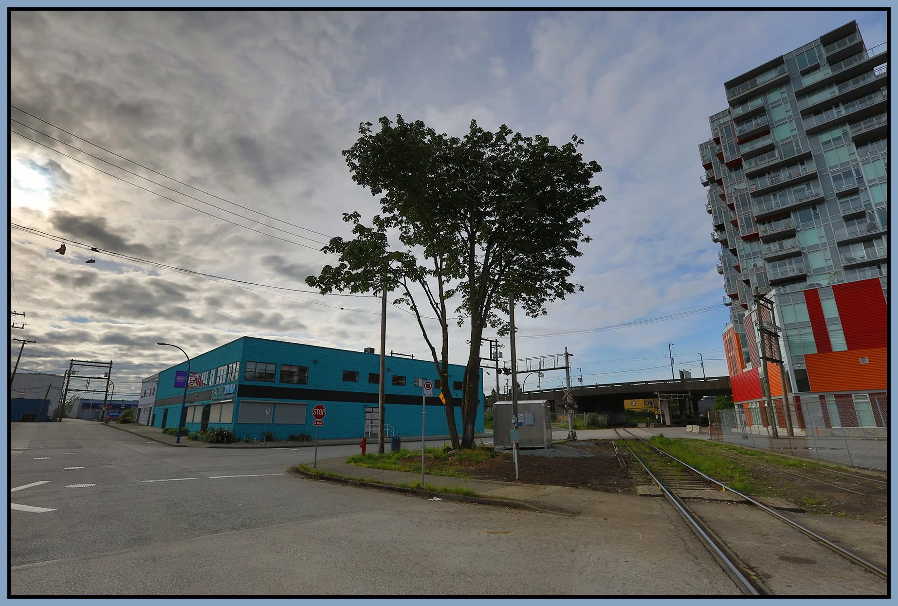 900 E Cordova Trees_May 18_2019_HDR_E1957_4x6s.jpg