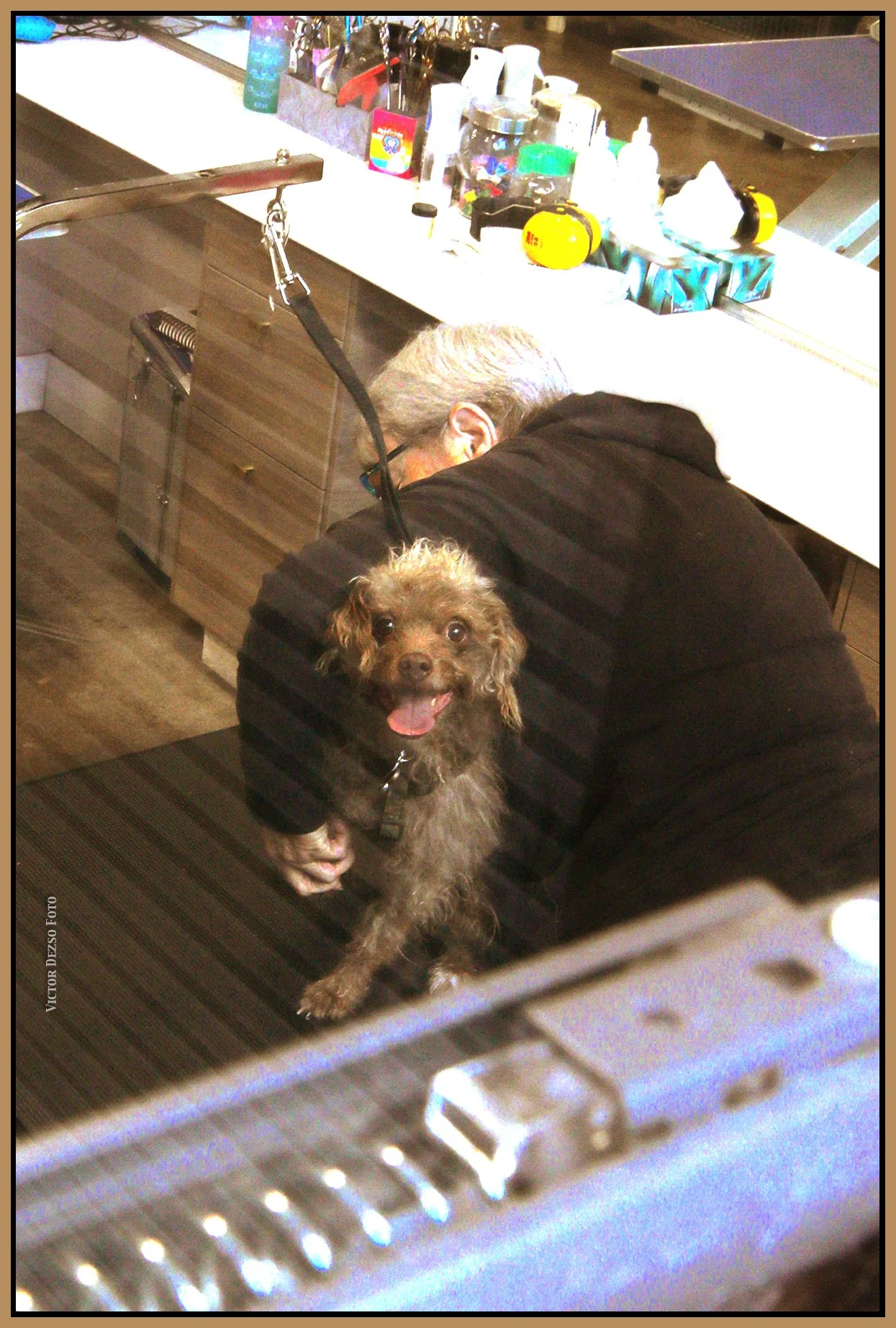 Frances & Adrian_Nov 2_2023_HDR_4H8989_1_4x6ss.jpg