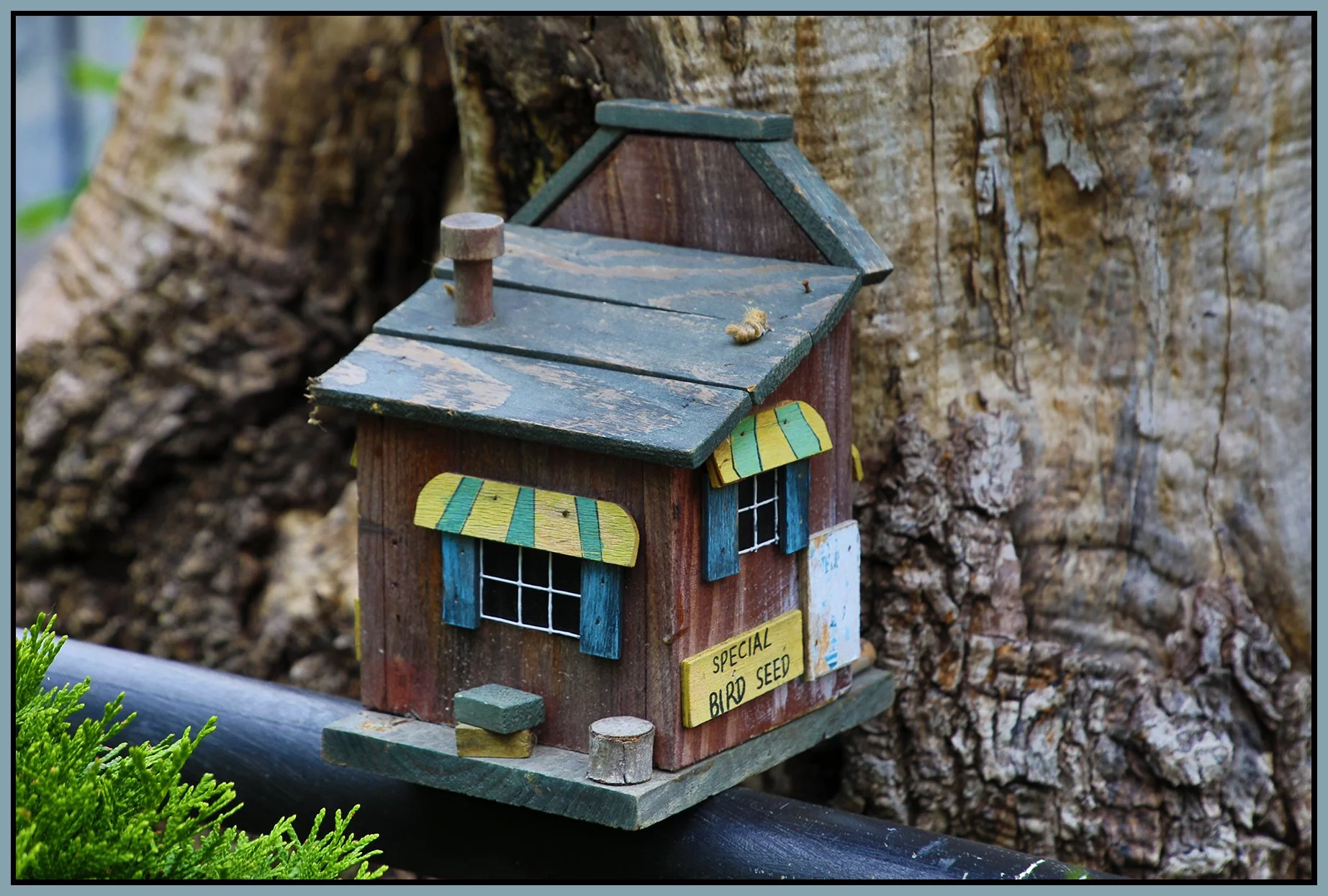 580 Heatley Tree Houses_July 1_2024_HDR_5E5519_4x6s.jpg