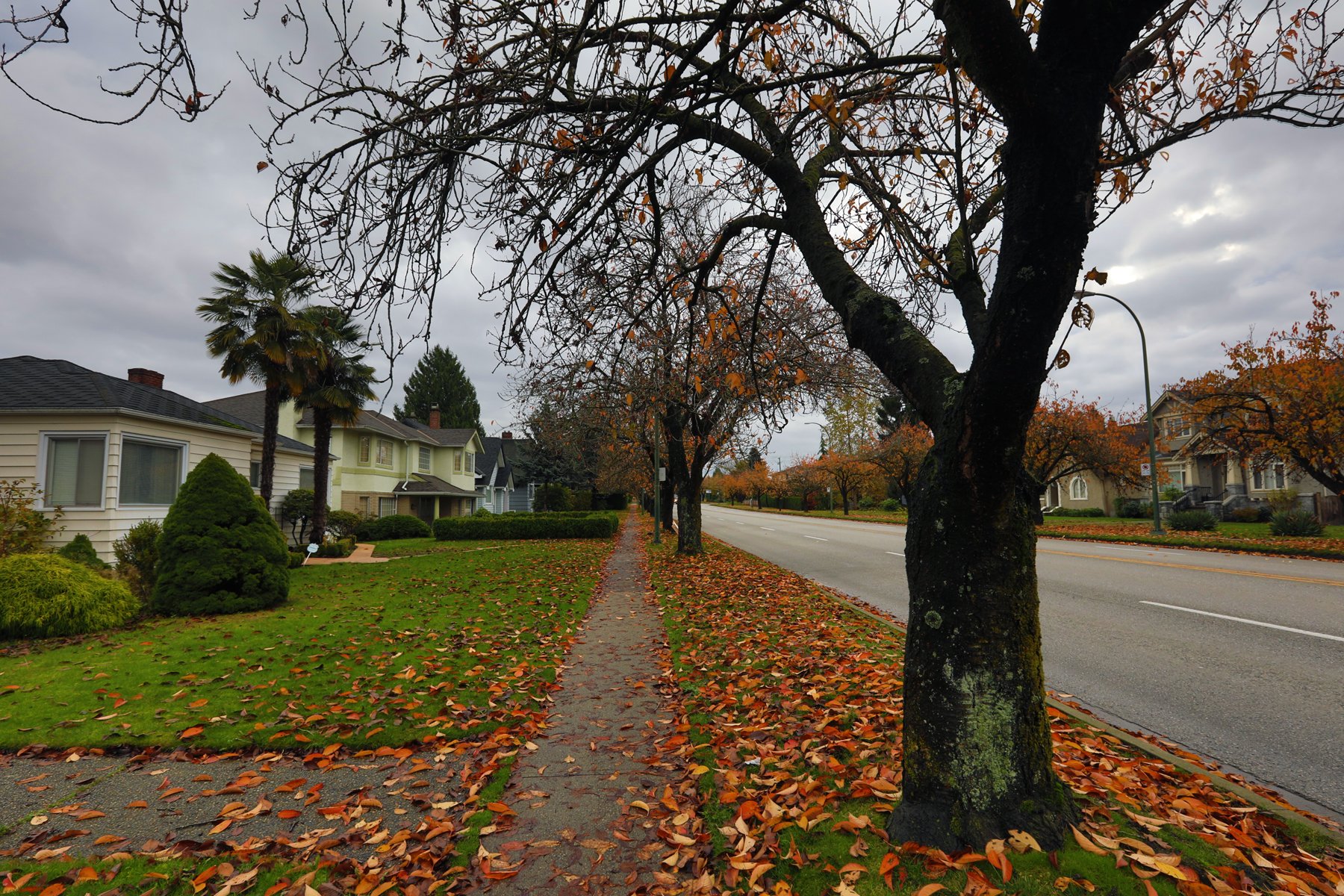 175 King Edward_Vancouver_Nov 3_2016_HDR_A6495_4x6.jpg