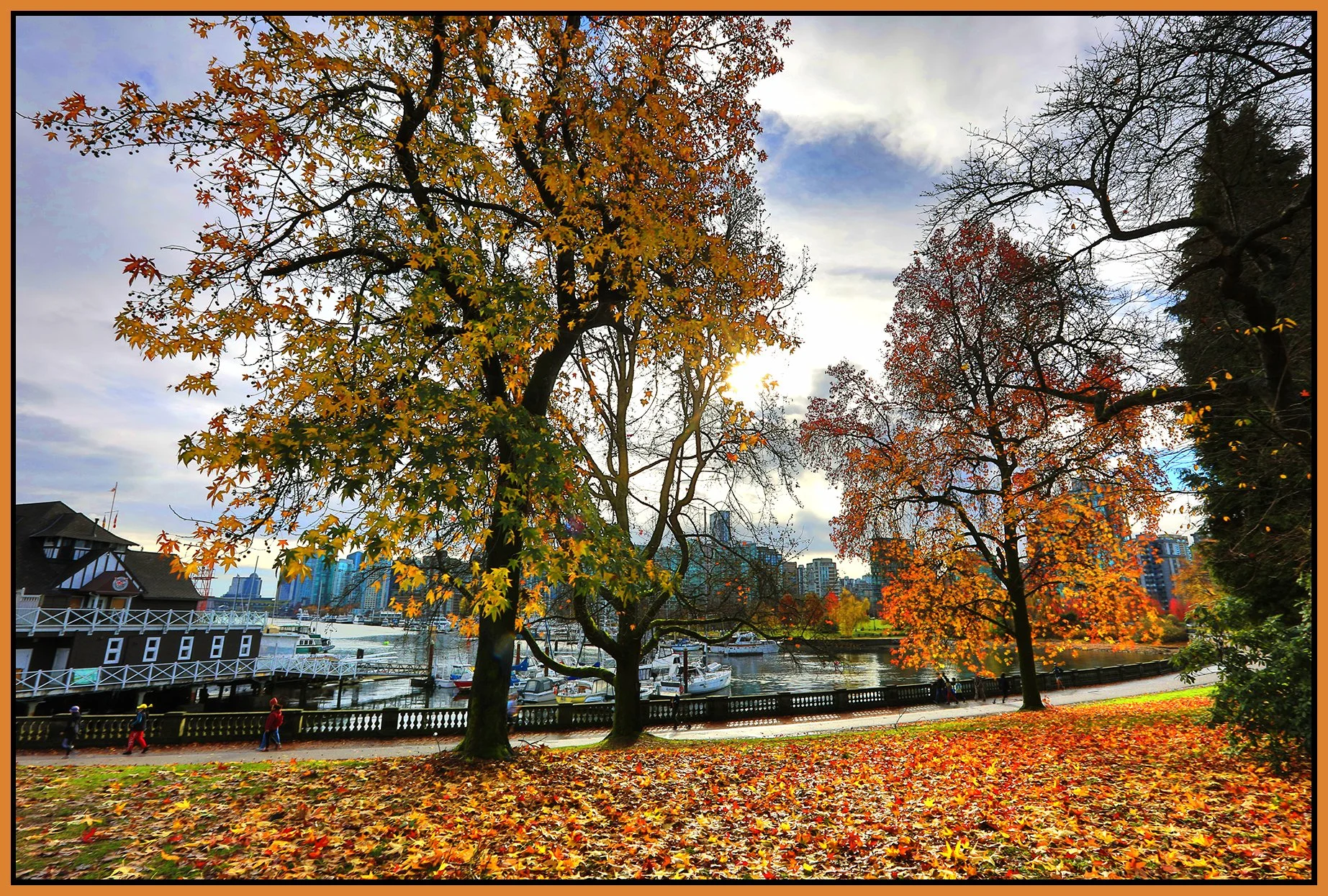 Stanley Park Trees LkgS_Nov 12_2023_HDR_5C9452_peVibrClrs_4x6s.jpg