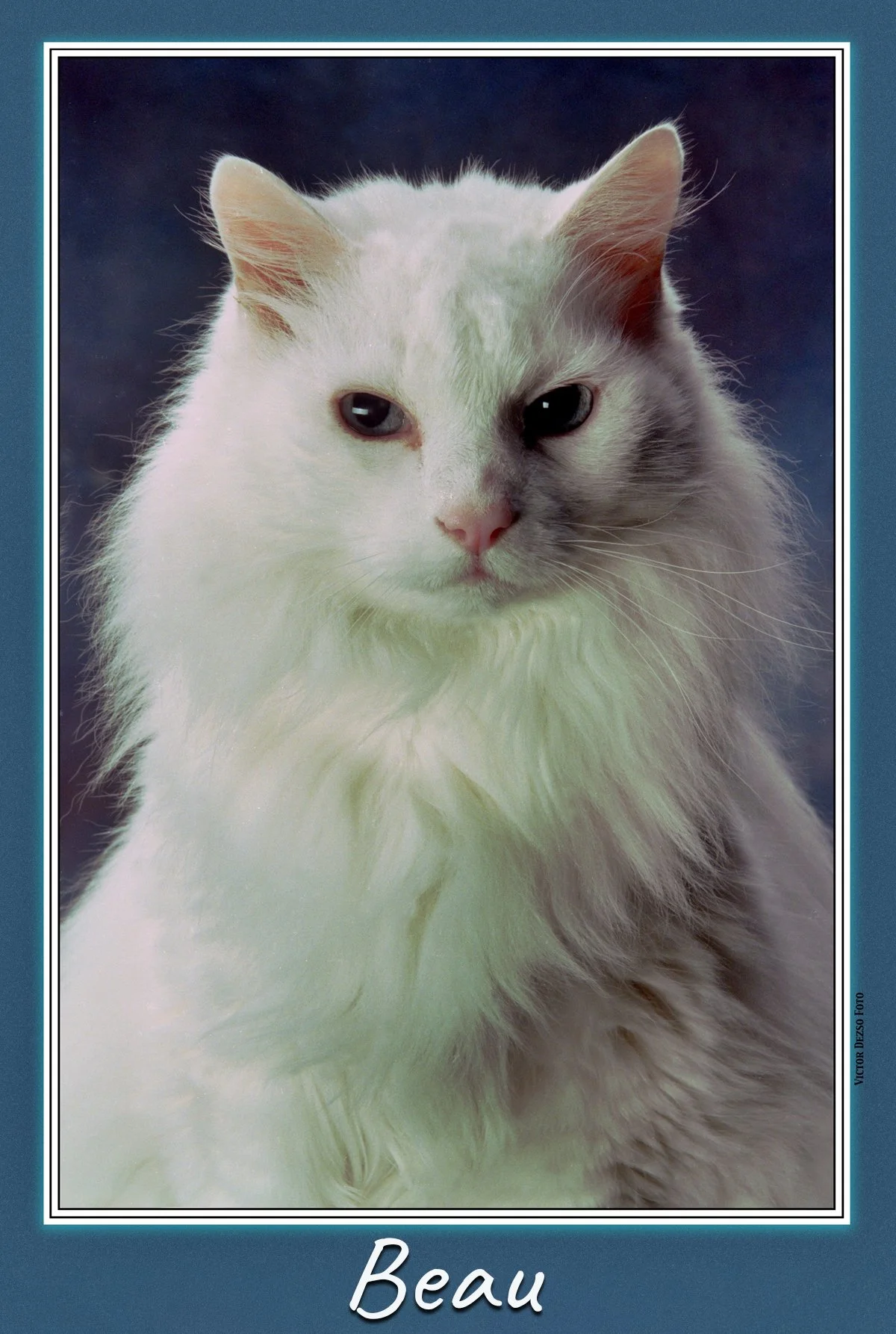Beau_Feb 21_1998_1_4x6ss.jpg