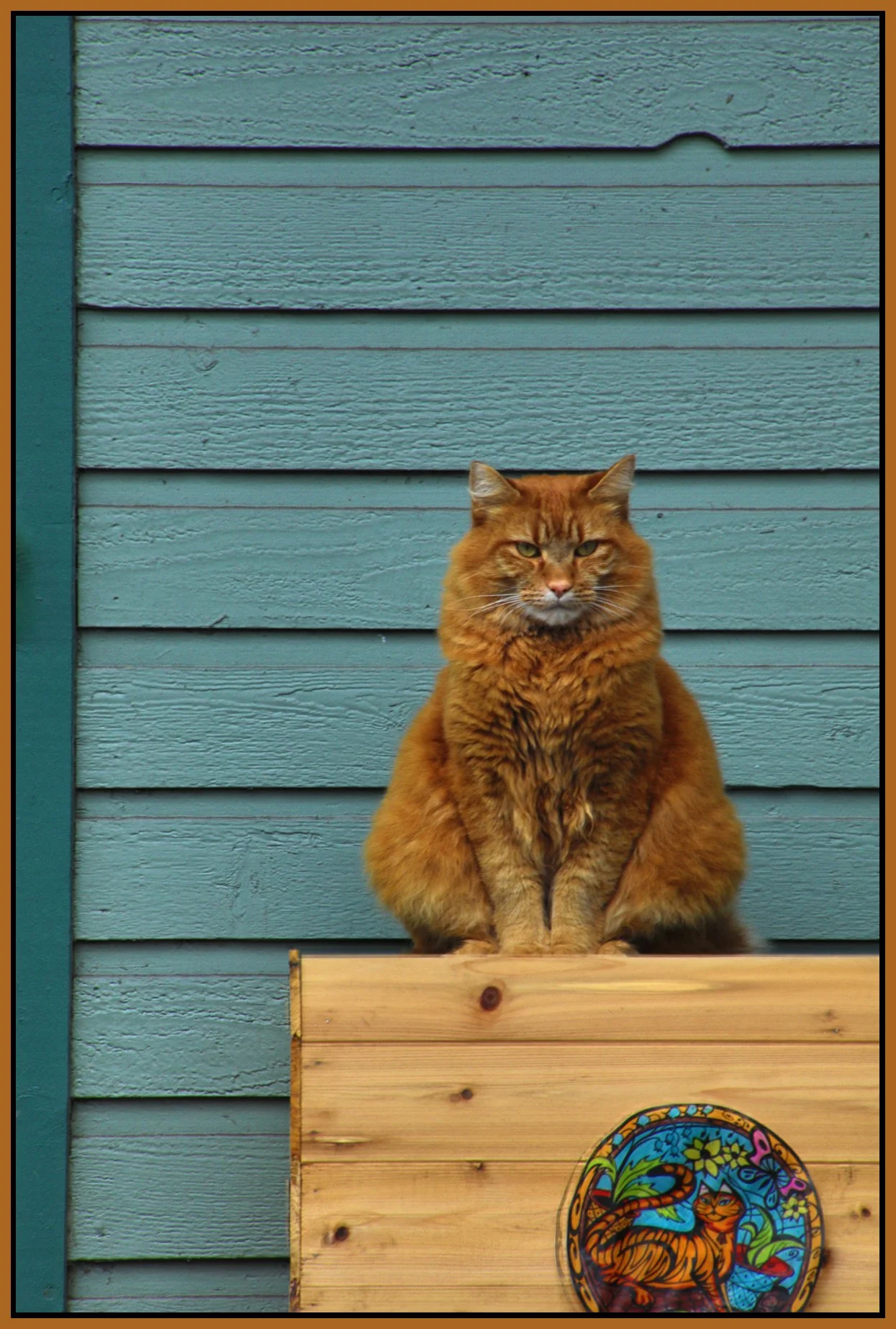 628 Keefer St Cat_Mar 4_2026_HDR_4K9335_4x6s.jpg