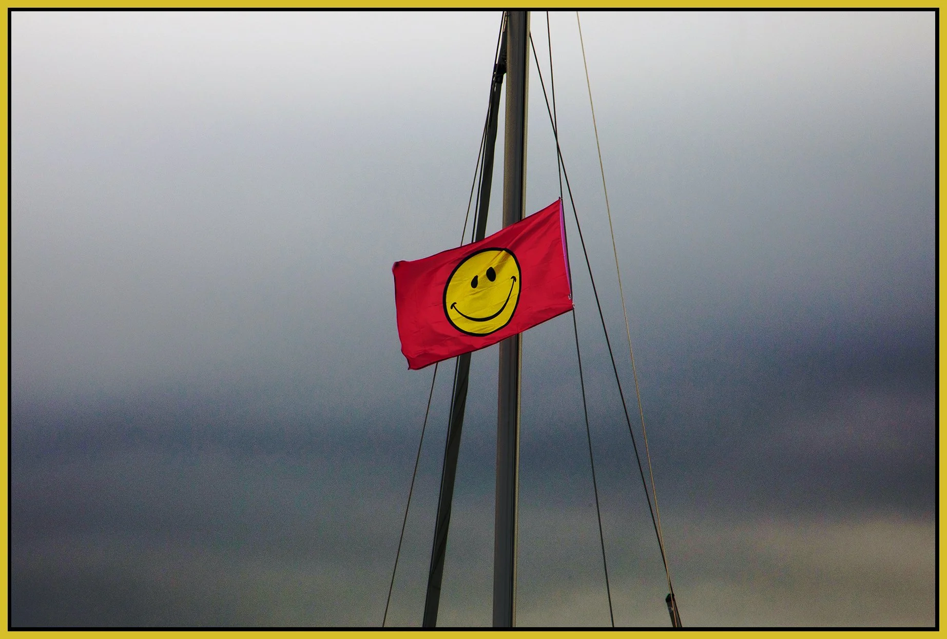 Happy Face_May 30_2023_5C0197_peFlttnHistgrm_4x6s.jpg