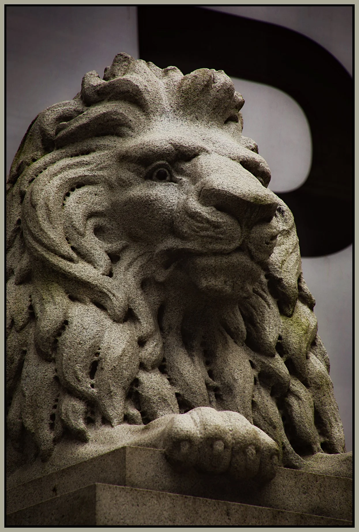 Art Gallery Lion_Jan 24_2022_HDR_5A7768_peOlsnArtLoClr_4x6s.jpg