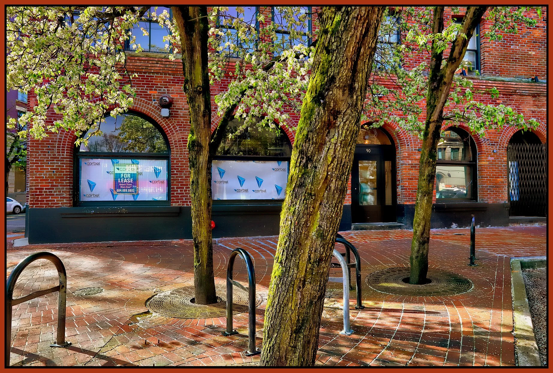 Gastown 90 Alexander St Trees_Apr 27_2023_HDR_5D8182_peHdr2013_NatB_1_4x6s.jpg