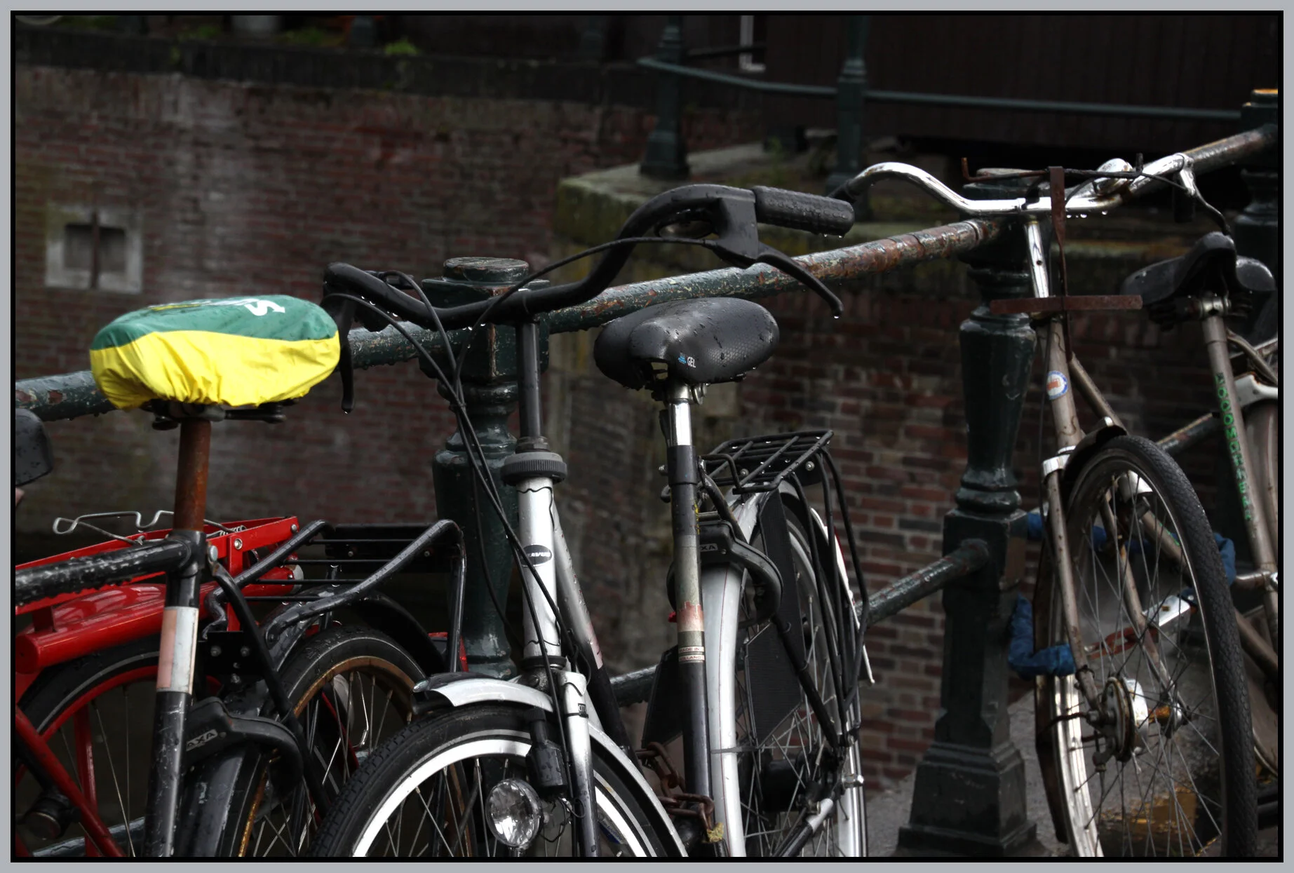 Amsterdam_Oct 18_2011_9919_4x6s.jpg