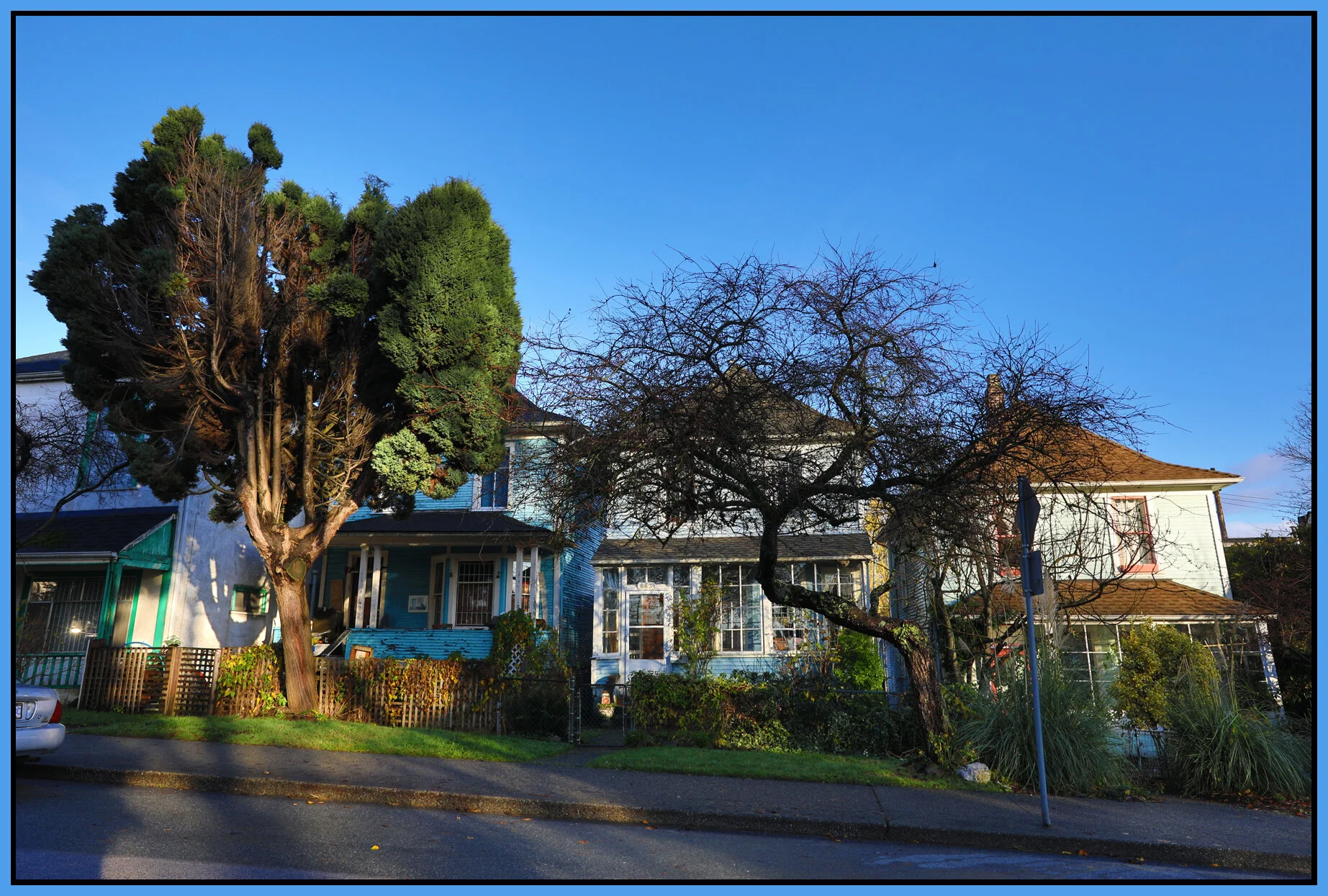 663 E Pender Trees_Nov 27_2017_HDR_B1869_4x6s.jpg