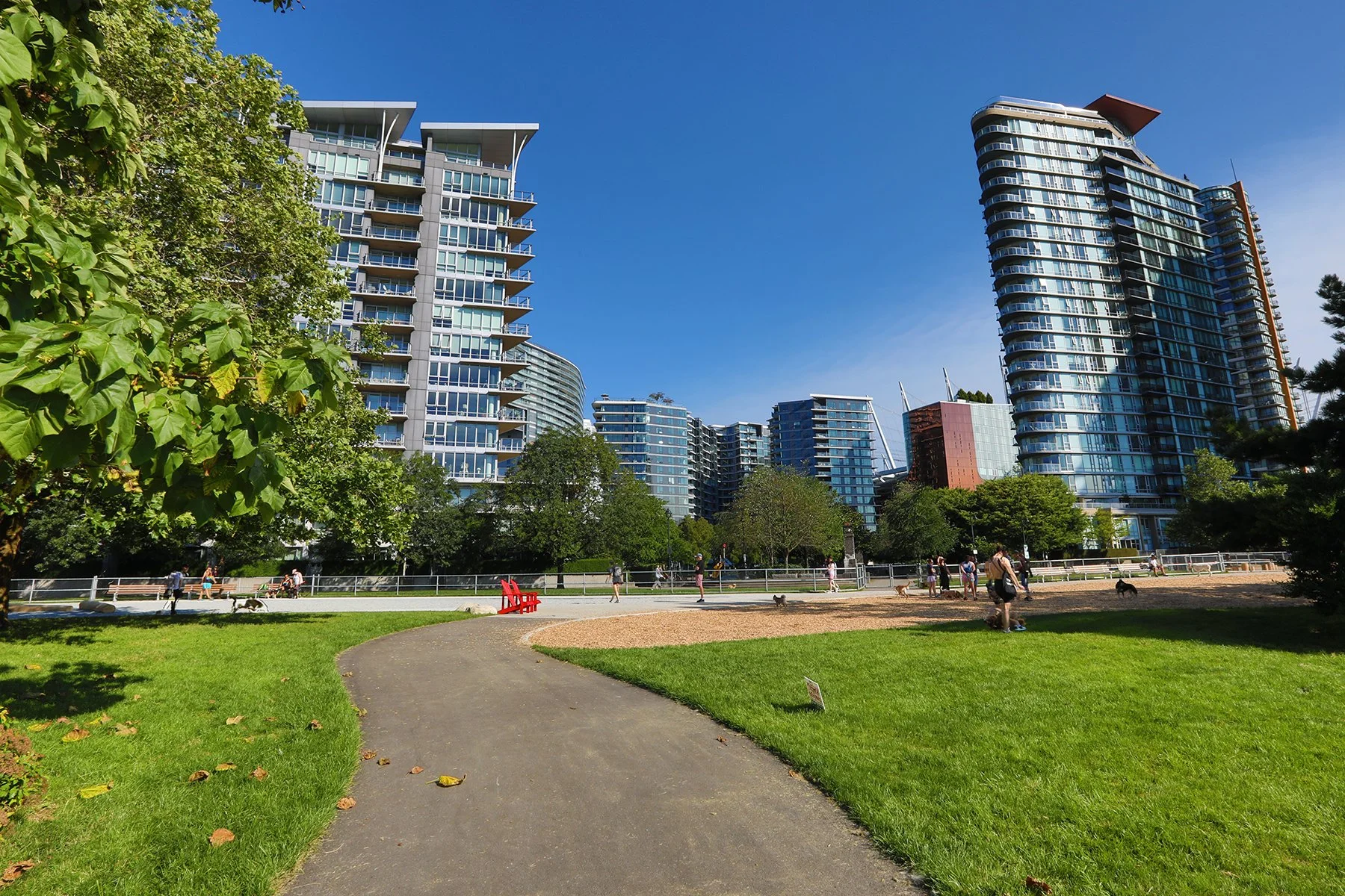 Coopers' Dog Park_Aug 4_2024_HDR_5E7614_4x6.jpg