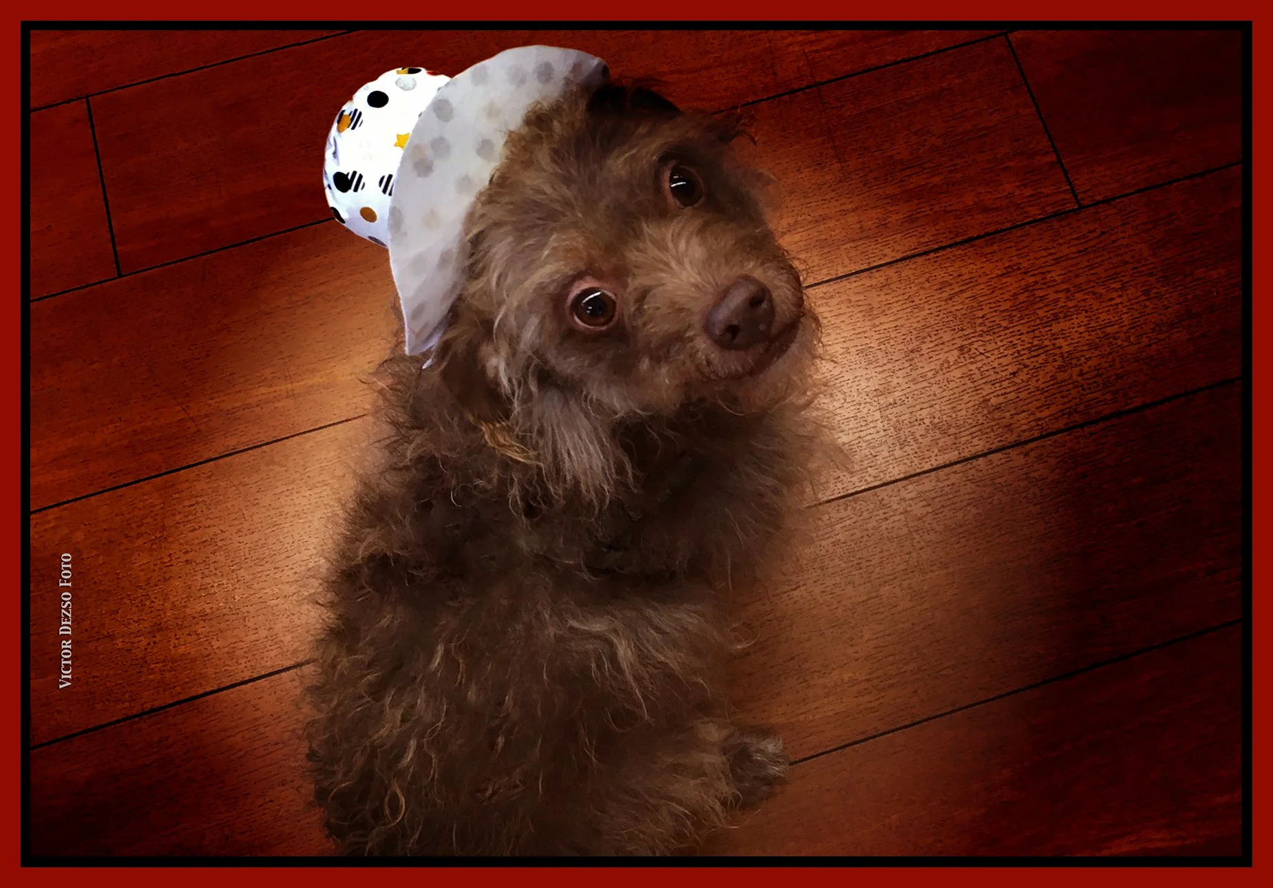 Frances with Cowboy Hat_Nov 23_2023_2762_peDecRadinVig_4x6s.jpg