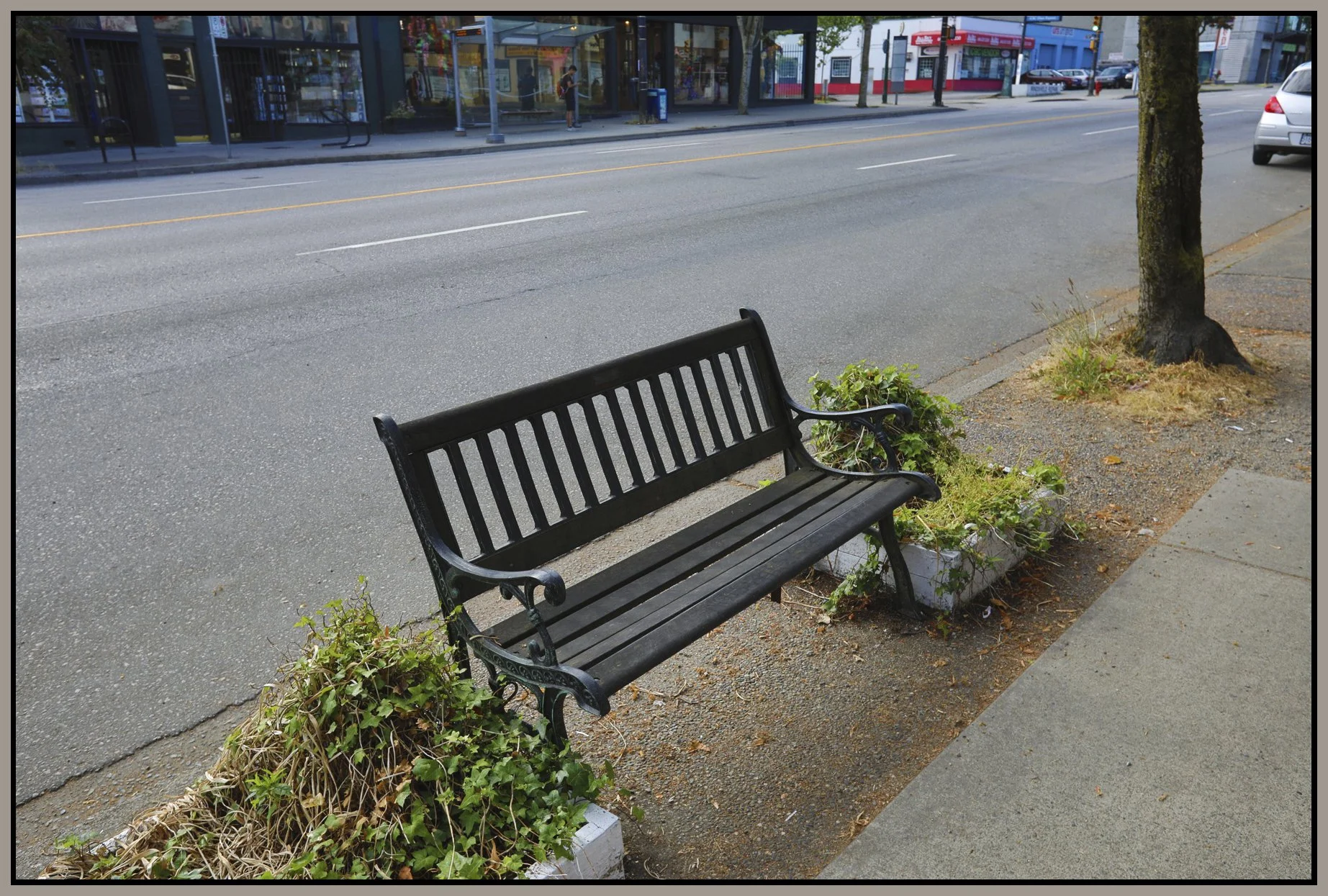 Bench on Main St_Jul 30_2017_HDR_B3521_4x6s.jpg
