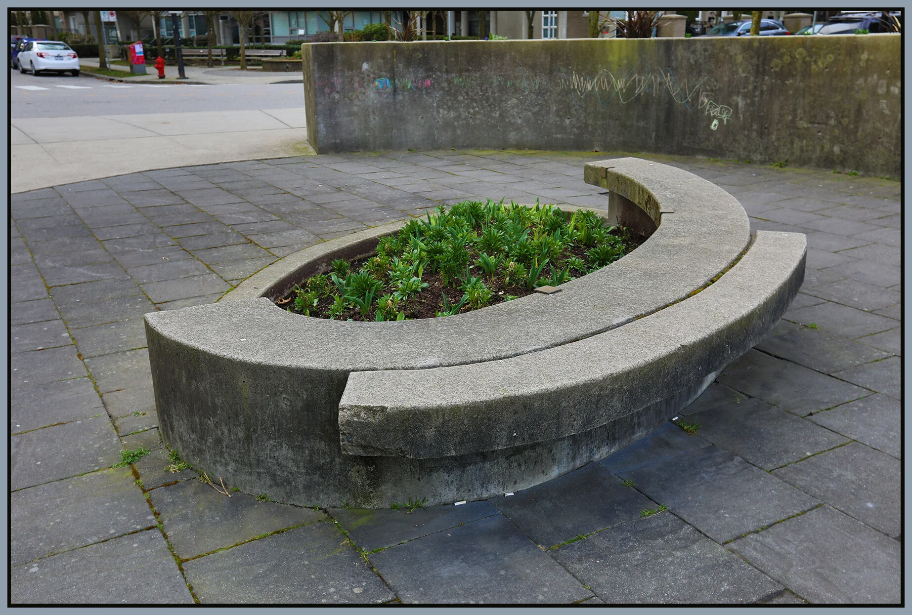 Bench in Coal Harbour_Mar 24_2019_HDR_E8222_4x6s.jpg