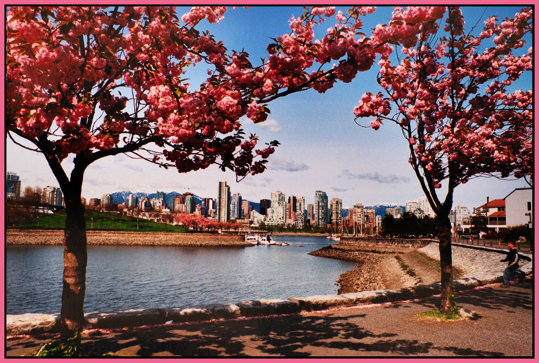 1.1 View False Ck_1998_9198_peClrPresrvBrtn_4x6s.jpg