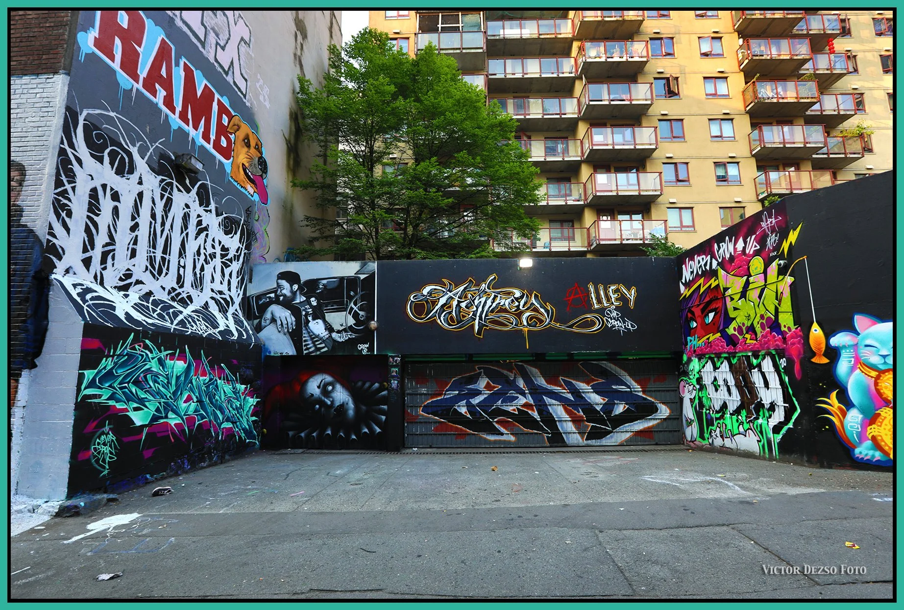 Ashtrey Alley_Aug 5_2026_HDR_4L8808_4x6s.jpg