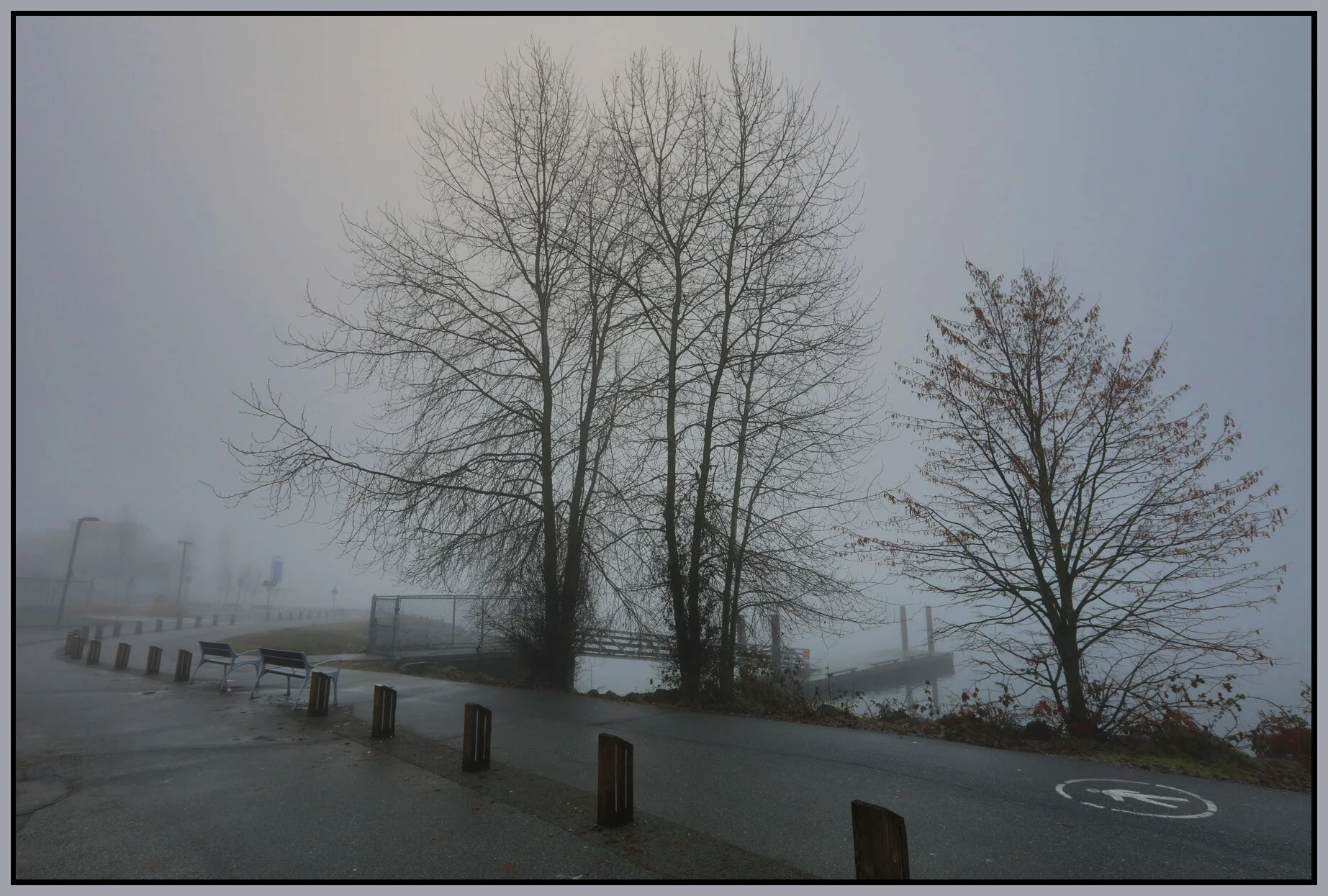 6.6 View Trees_Jan 14_2018_HDR_C2625_4x6s.jpg