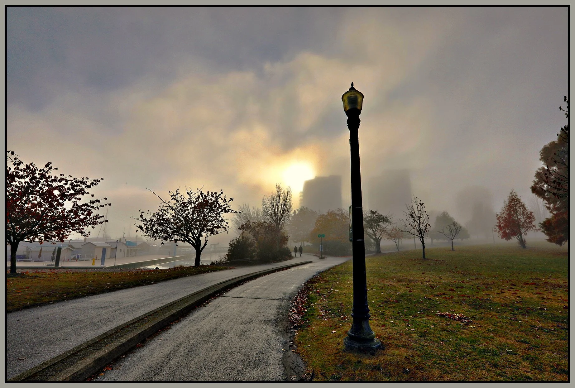 Devonian Pk Fog_Nov 15_2022_HDR_5C5970_peVenice_4x6s.jpg