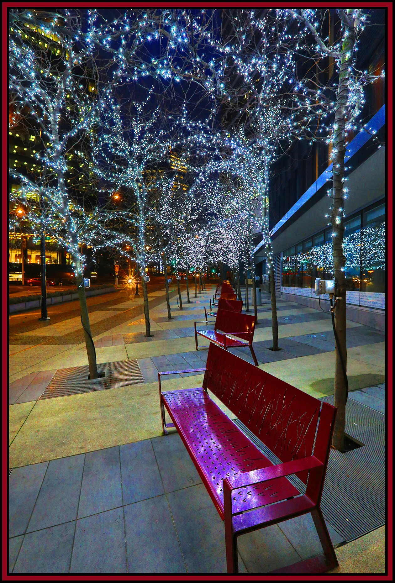 PacRim Trees & Benches_Dec 23_2019_HDR_F9717_4x6s.jpg