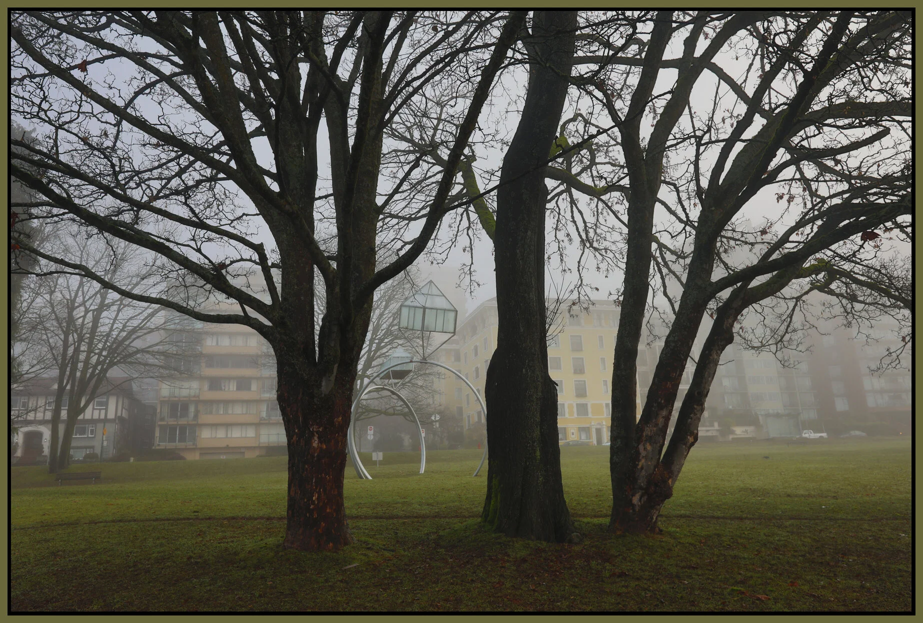 English Bay Trees& Art_Jan 14_2018_HDR_C2821_4x6s.jpg