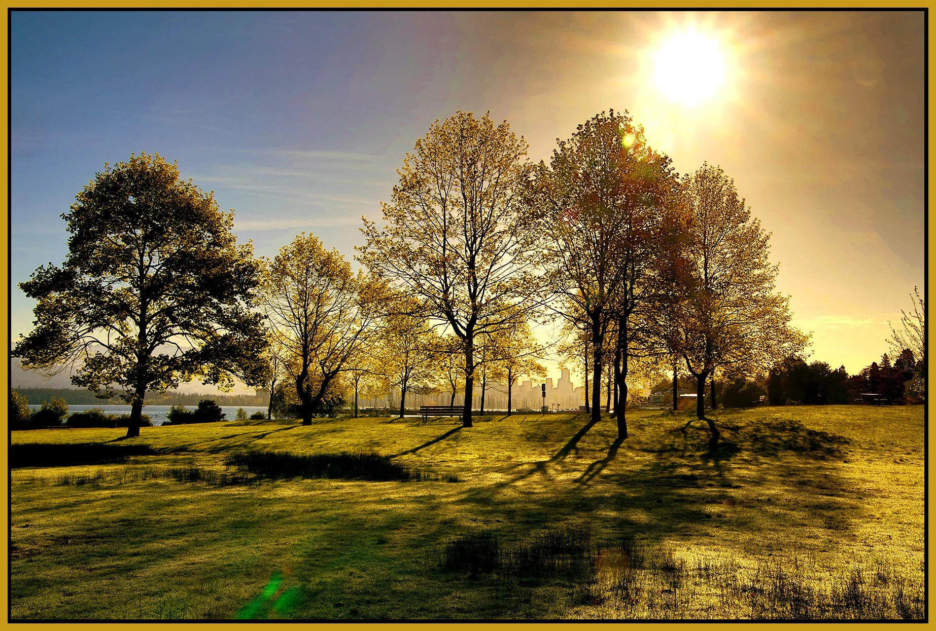 Jericho Beach Park Trees_May 8_2024_HDR_5E4914_peCourtouis_NatB_4x6s.jpg
