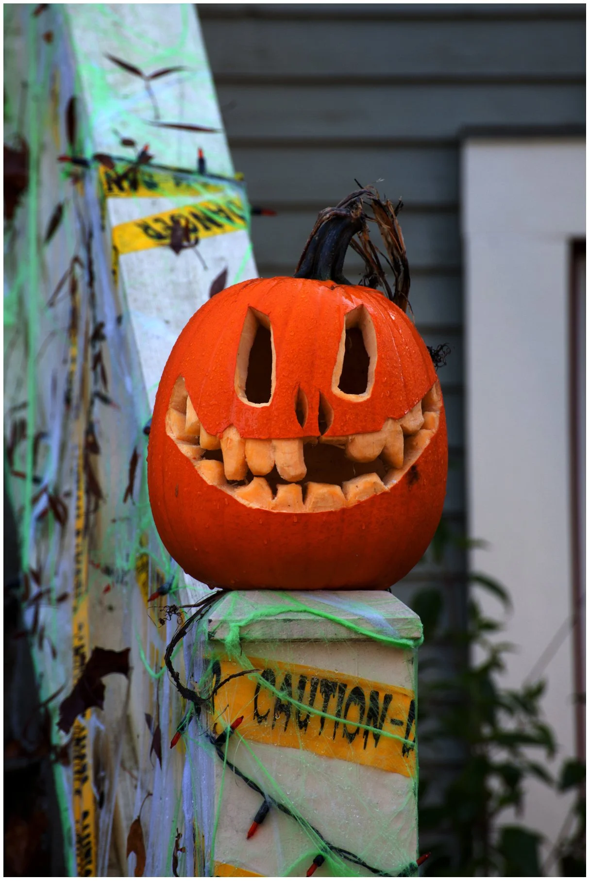 Pumpkins_Nov 2_2013_5585_4x6s.jpg