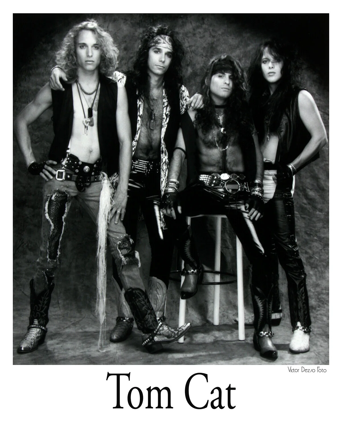 Tom Cat_1443_4x5s.jpg