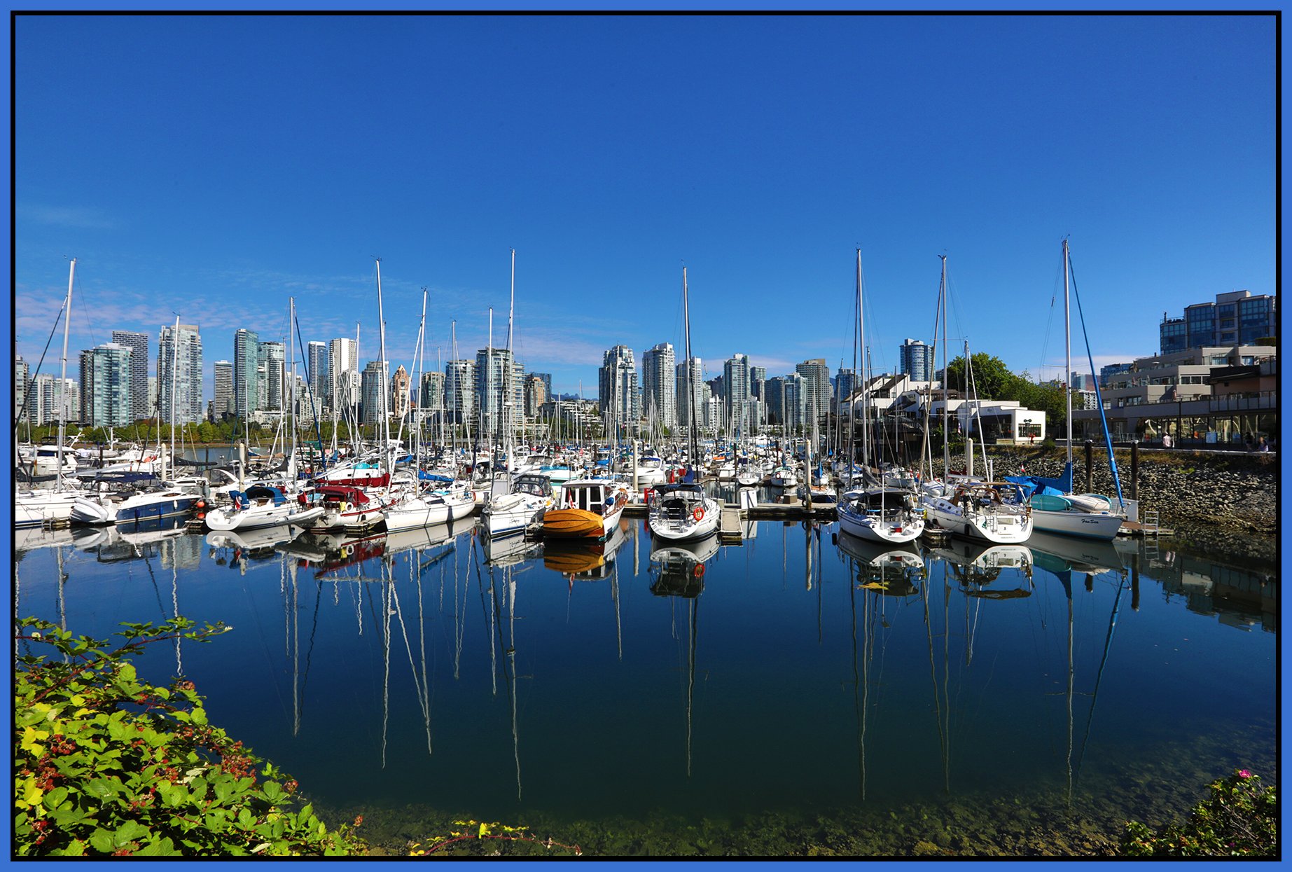 2 View False Creek_Jul 31_2026_HDR_4L8224_4x6s.jpg