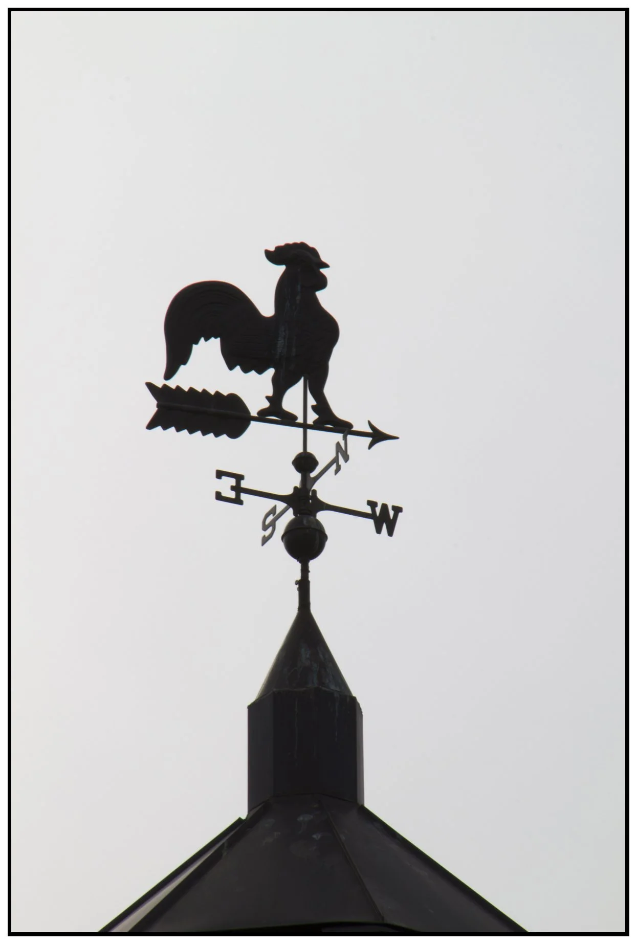 Weather Vane_Mar 6_2011_2802_4x6s.jpg