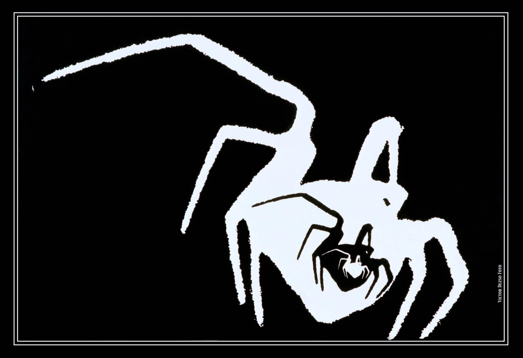 Spiders_4x6s.jpg
