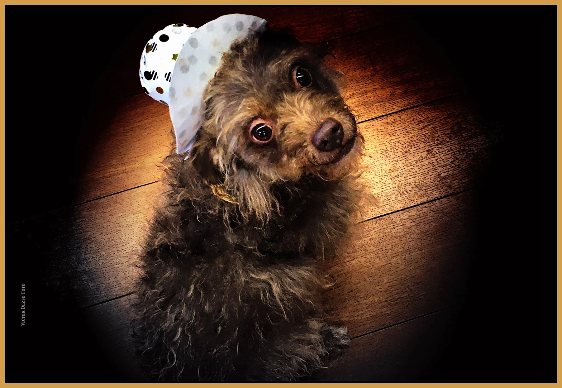 Frances with Cowboy Hat_Nov 23_2023_2762_peDecRadinVig_Water_B&wMagic_OlsenartGolden_4x6s.jpg