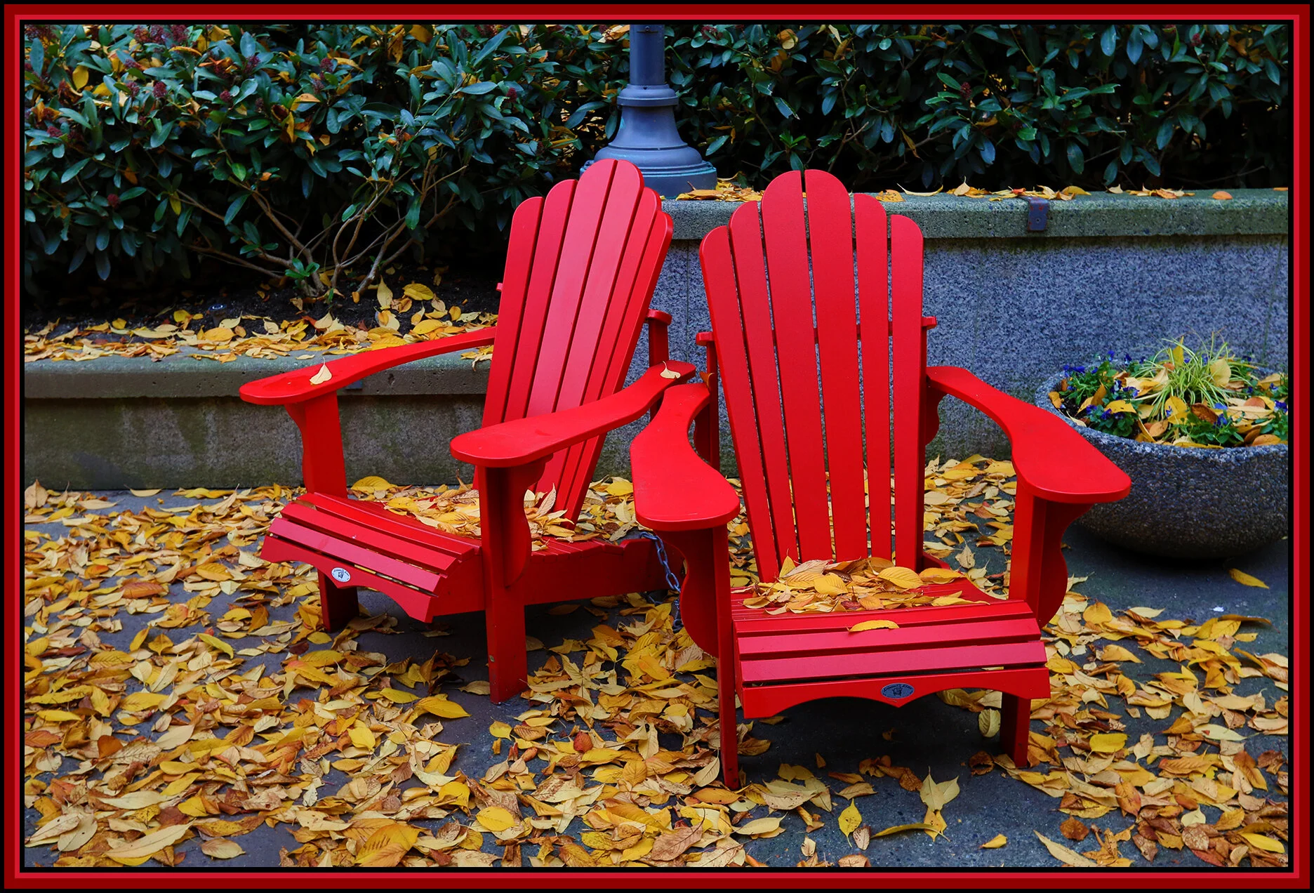 Seating in Lot 19_Nov 7_2020_HDR_4G3084_4x6s.jpg