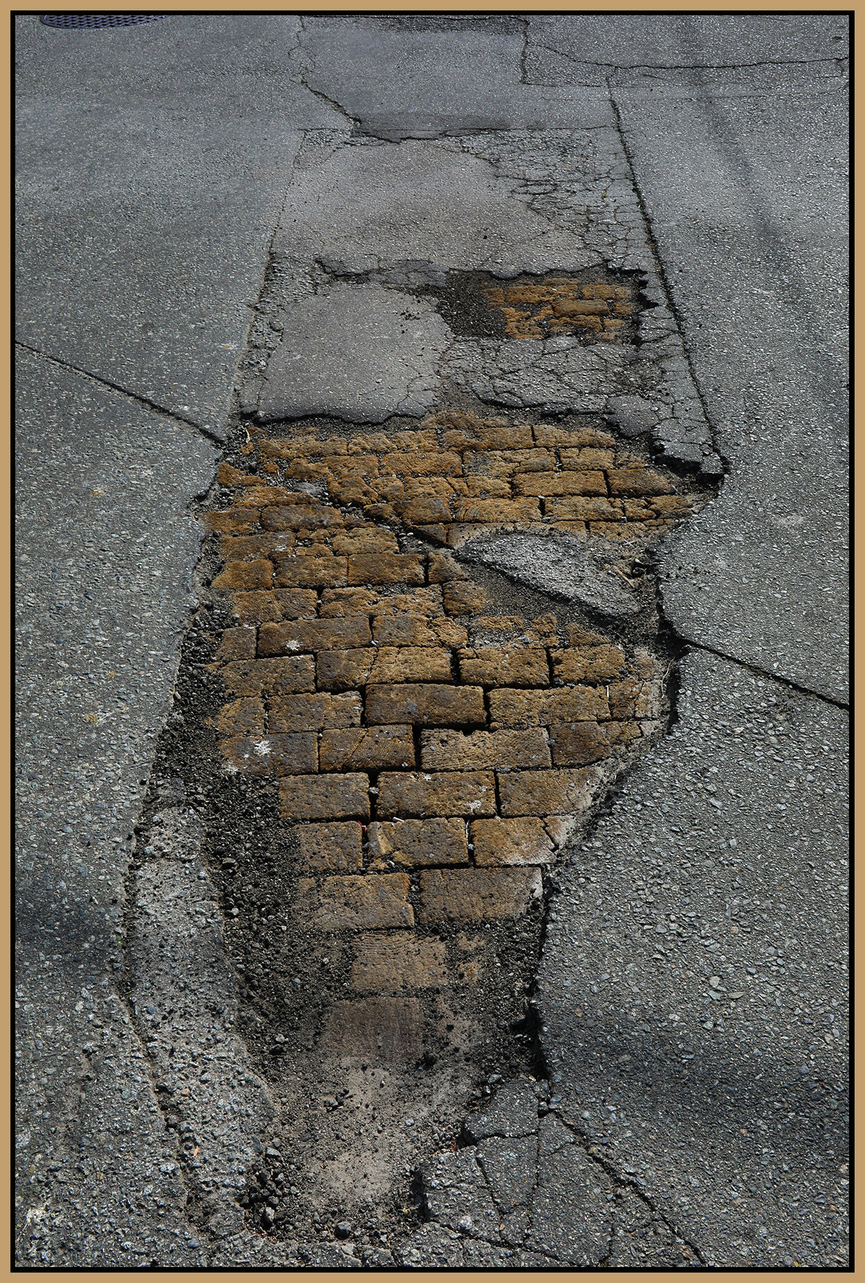 Alexander St Pavement_Jul 15_2021_HDR_5A3323_4x6s.jpg