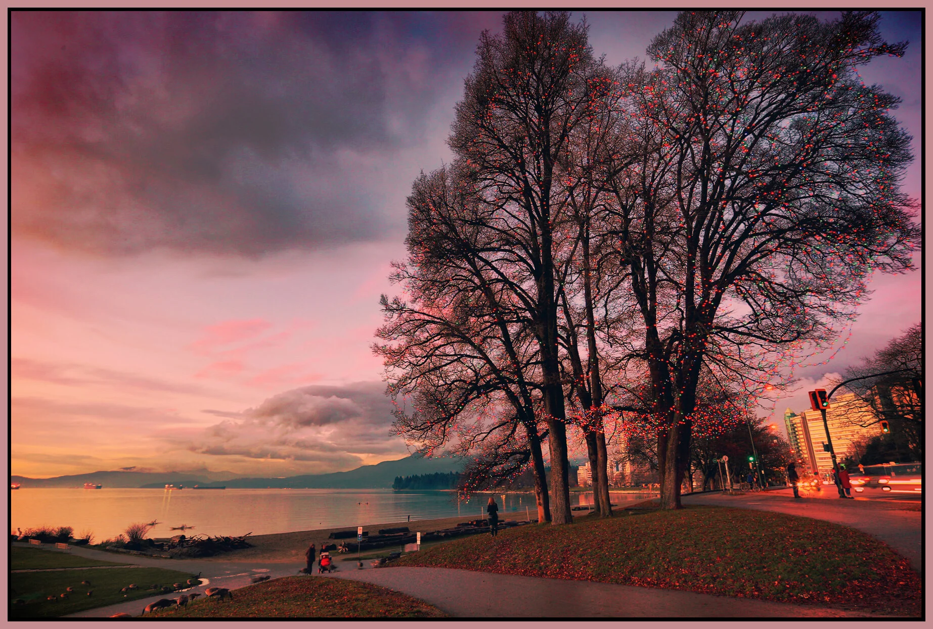 English Bay Tree_Dec 15_2013_HDR_D3248_peEsSun&_4x6s.jpg