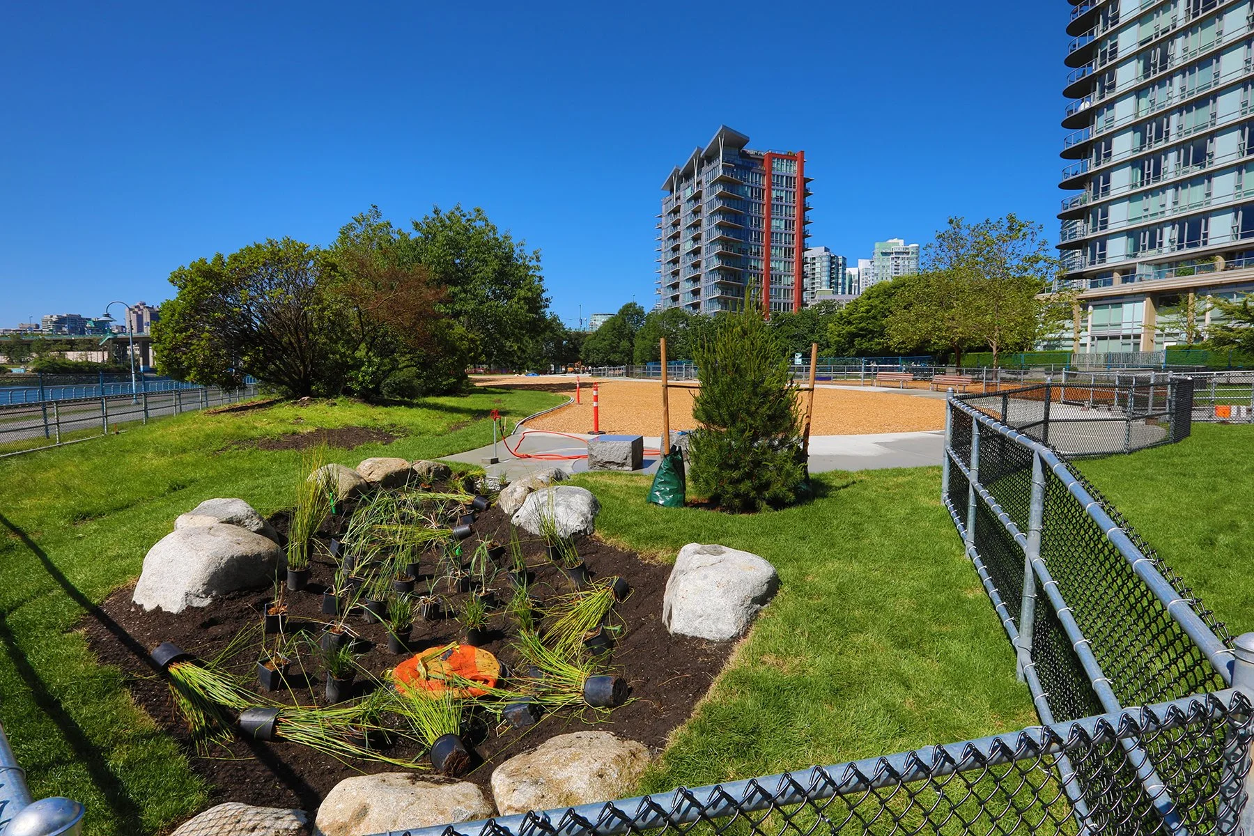 Cooper's Park Const_Jun 19_2024_HDR_4J1308_4x6.jpg