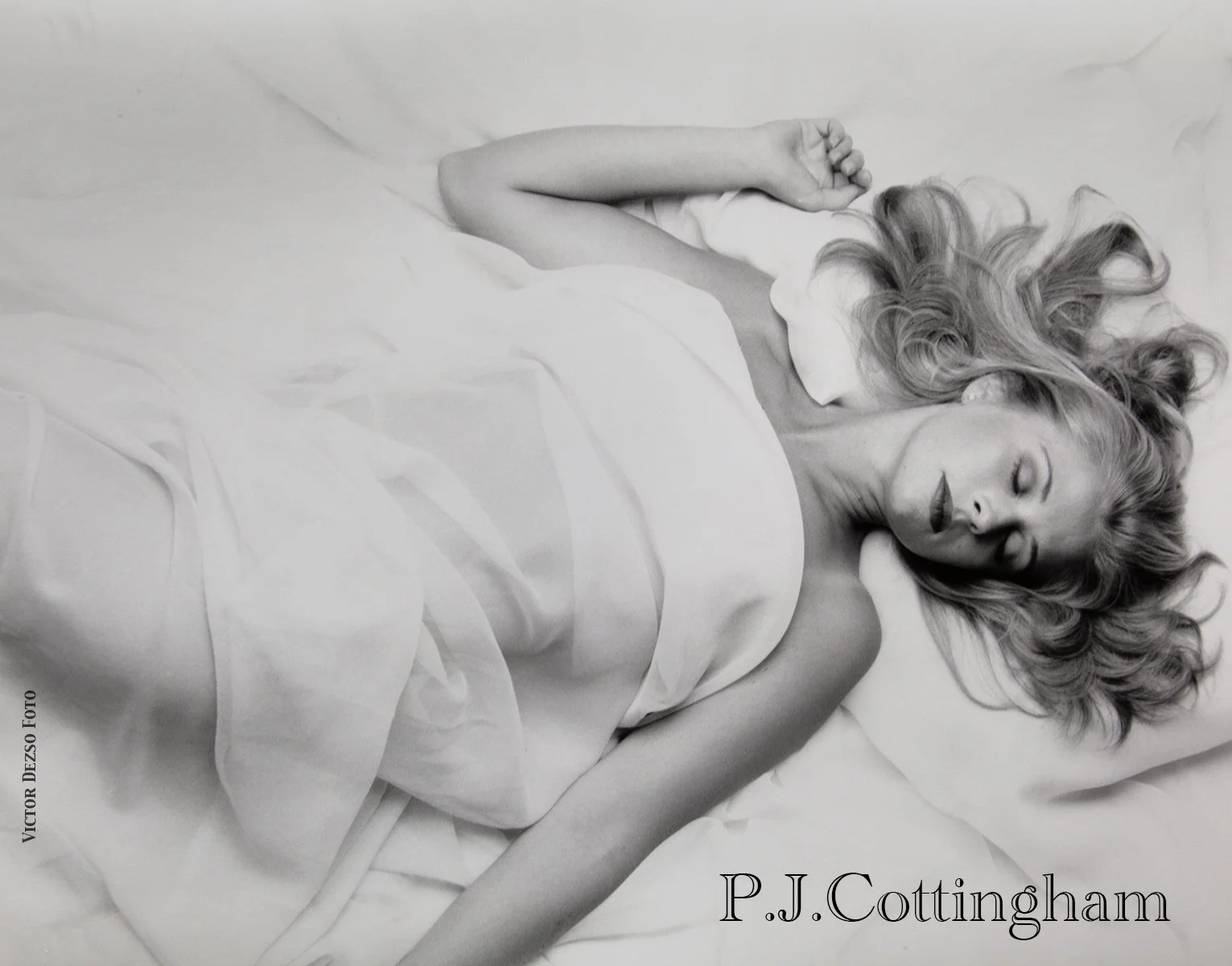 P.J.Cottingham_7348_4x5.jpg