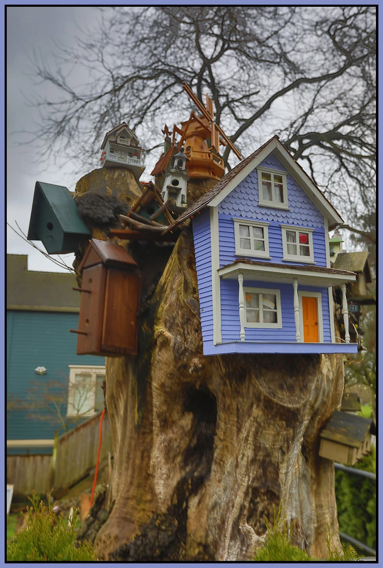 580 Heatley Bird Houses_Jan 8_2025_HDR_5E7413_4x6s.jpg